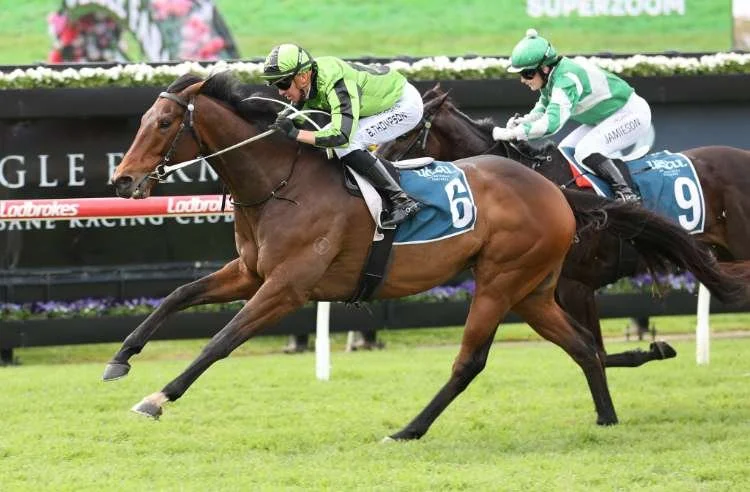 Racehorse winning with its ears pricked back and rider in green and black silks, another horse on its inside with green and white silks