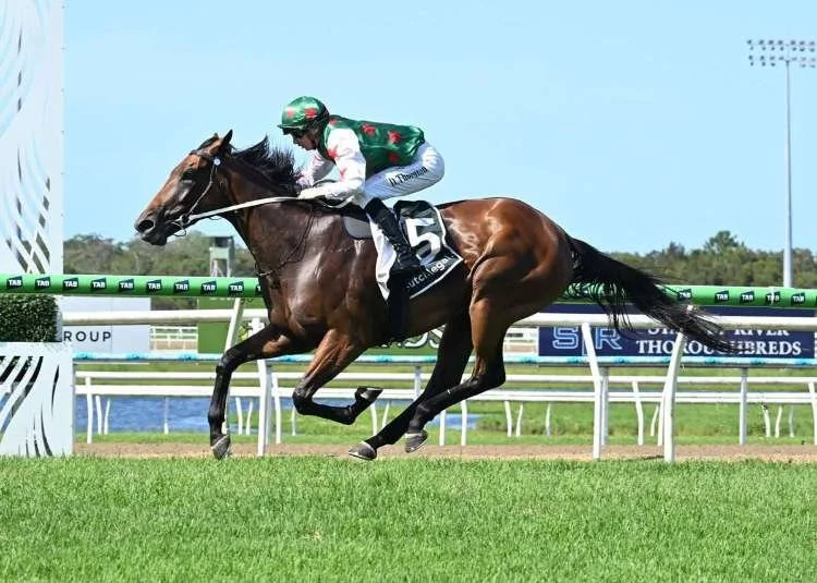 Lone racehorse galloping at winning post with ears pinned back and rider wearing green, red and white silks