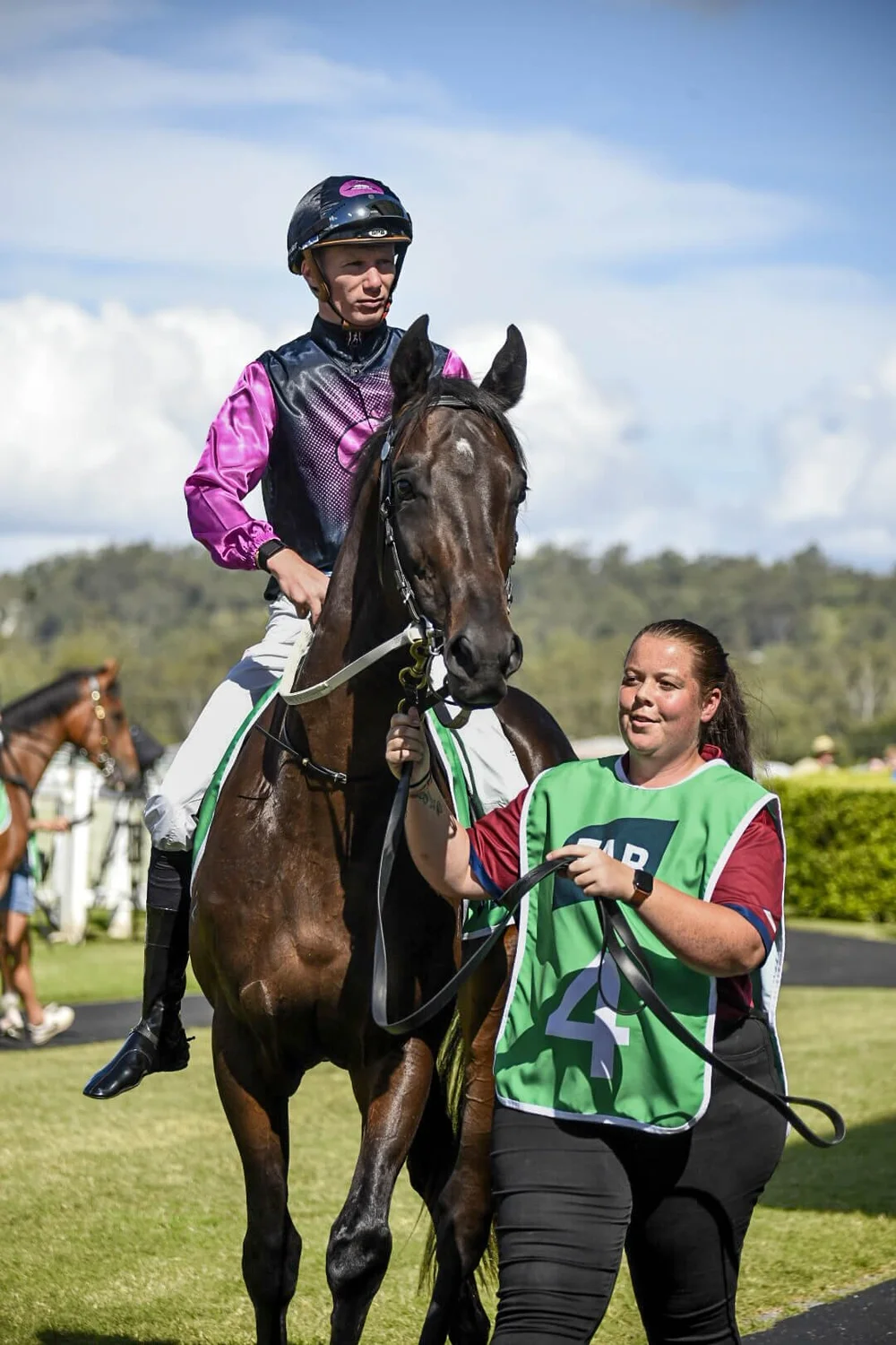 Hellbent x Miss Shanti filly | Discover Elite Bloodlines — Jack Bruce ...