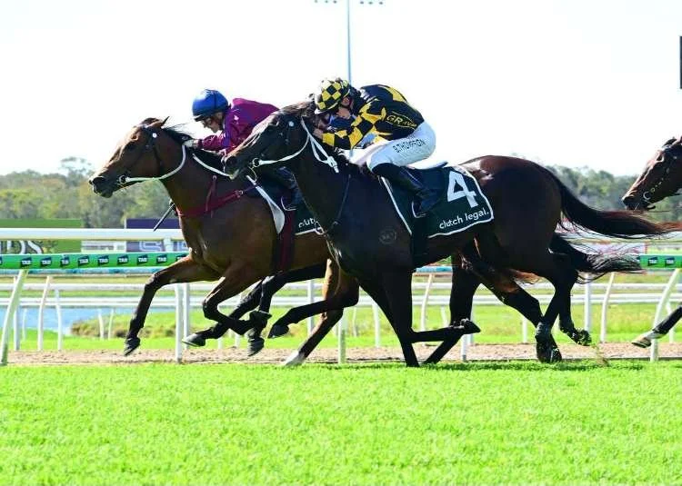 Two racehorses galloping in a race, the winning horse on the inside wearing maroon and navy silks and the second horse on its outside with black and yellow silks