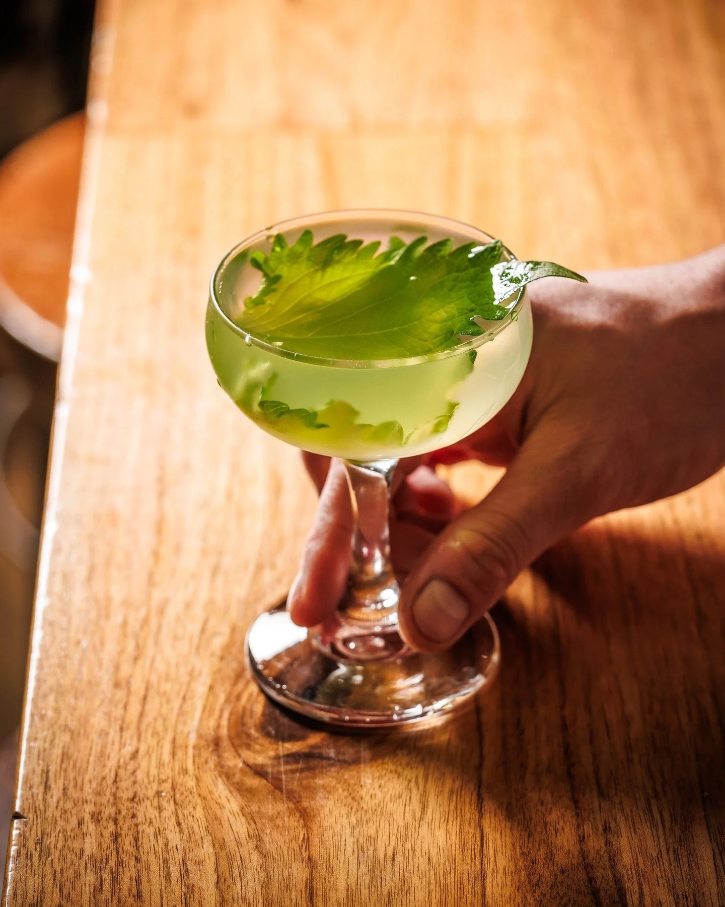 Crisp, clear, and kissed with shiso 🌿. The KN Martini.

KN MARTINI // gin &amp; japanese vermouth, shiso.