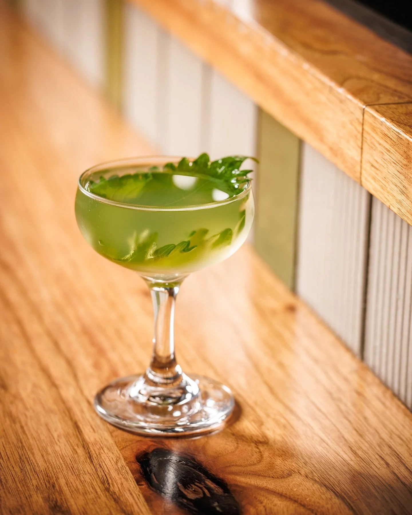 Just a quiet little martini moment (until it&rsquo;s not). 

💥 KN MARTINI // japanese vermouth, shiso