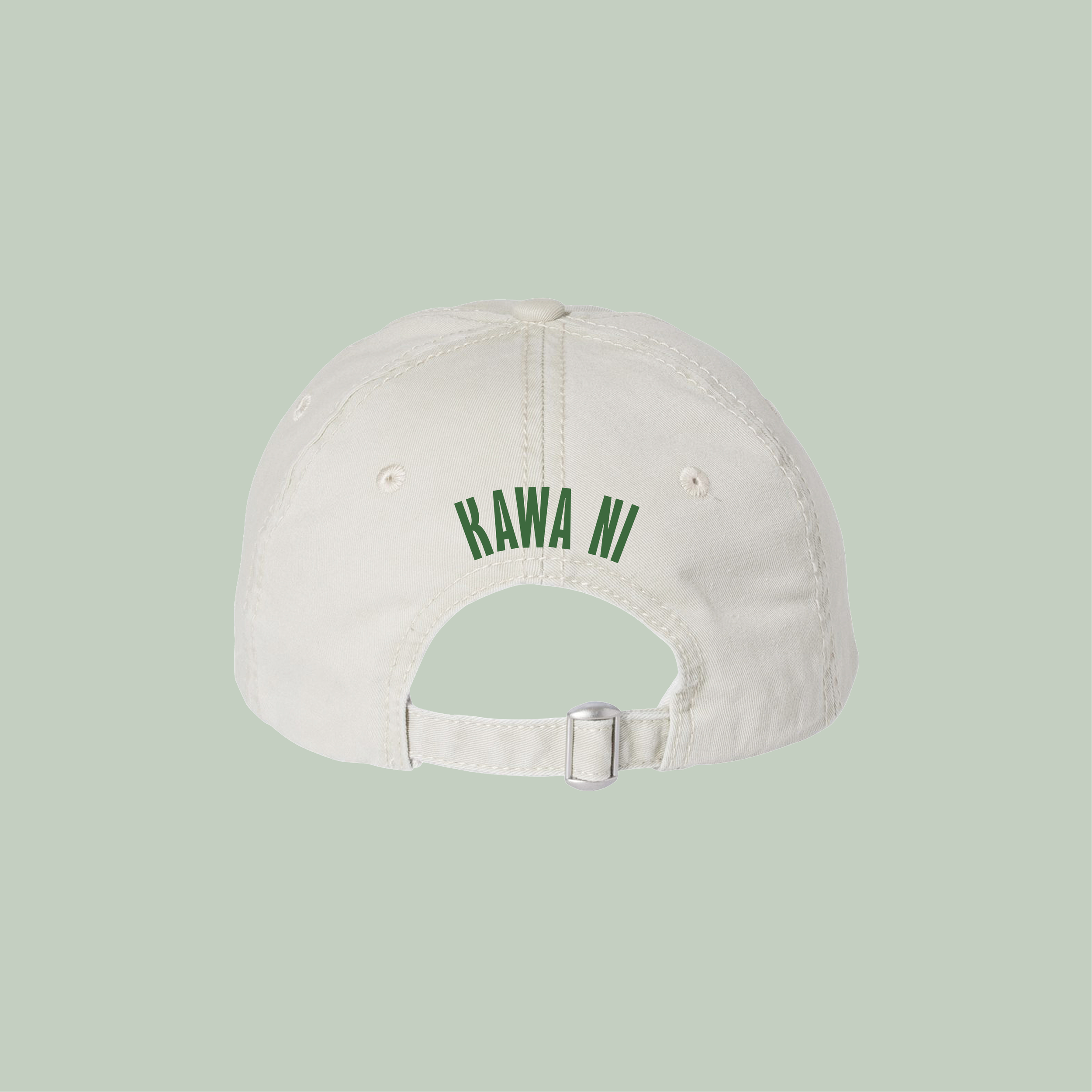 Cap – Back.png