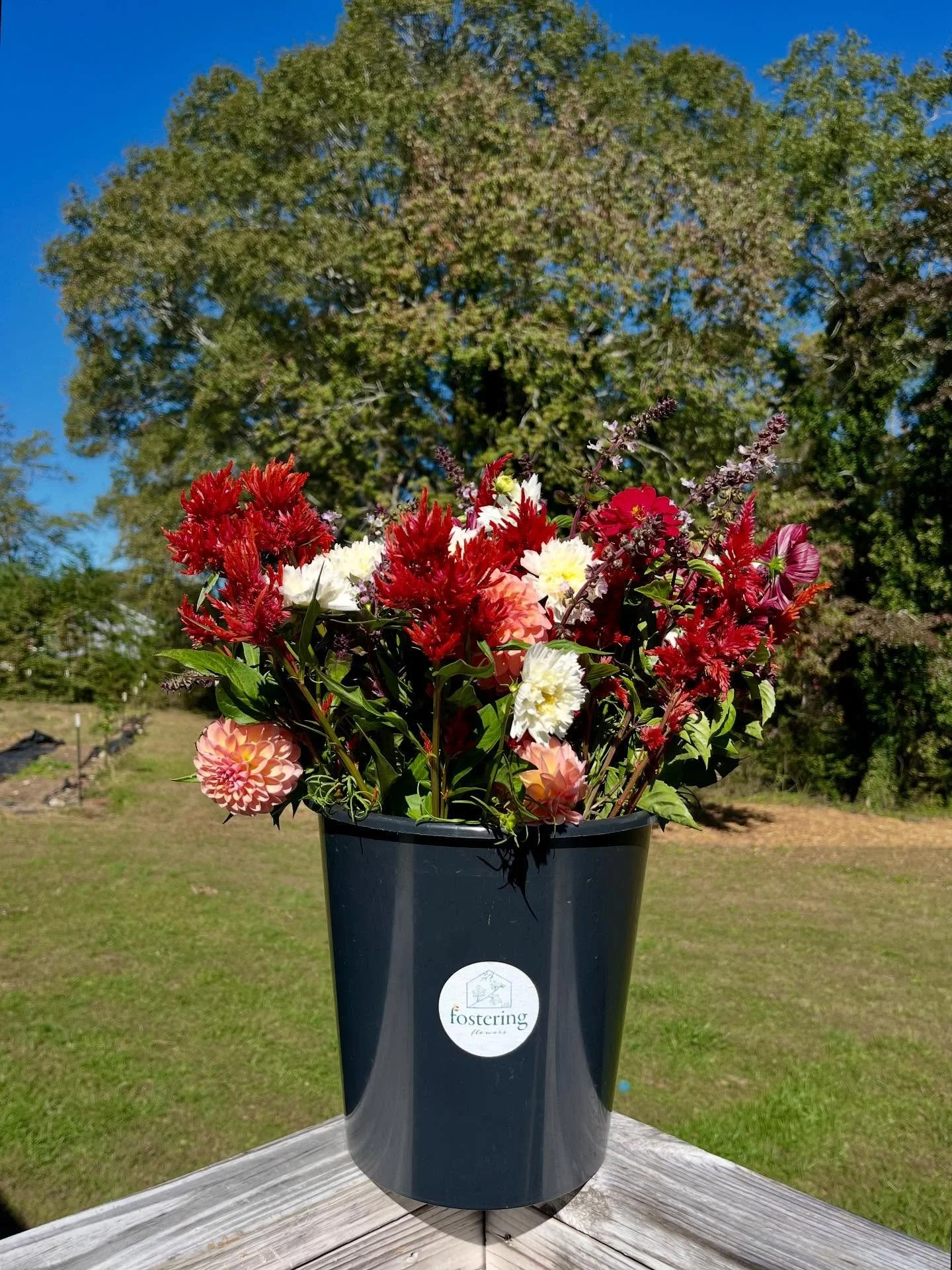 Just so ya know&hellip; 🙃

Next week is our LAST WEEK of fresh, local flowers for the season! As it&rsquo;s always bittersweet coming to a close on the season, my heart is also full on what the year brought in flowers. This bucket of blooms as well 