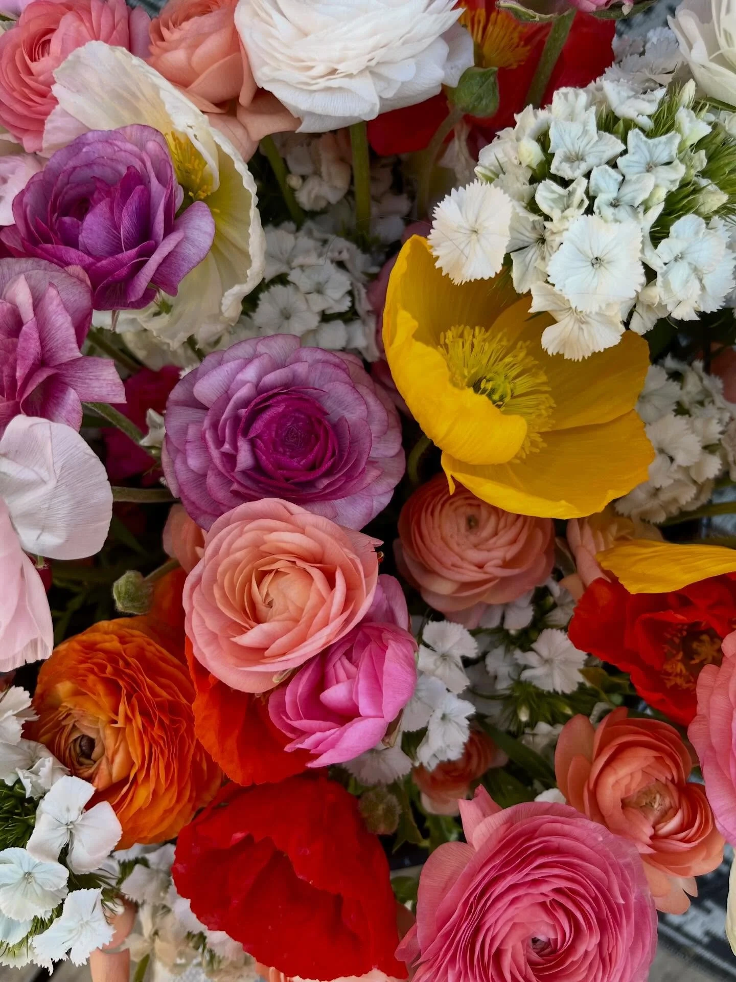 It&rsquo;s that time of year again 🙃

Where my plants have no idea what in the world to do because of the drastic weather changes except burst into bloom. Our florists and retail have what they need for the week and I have a lot of ranunculus, Icela