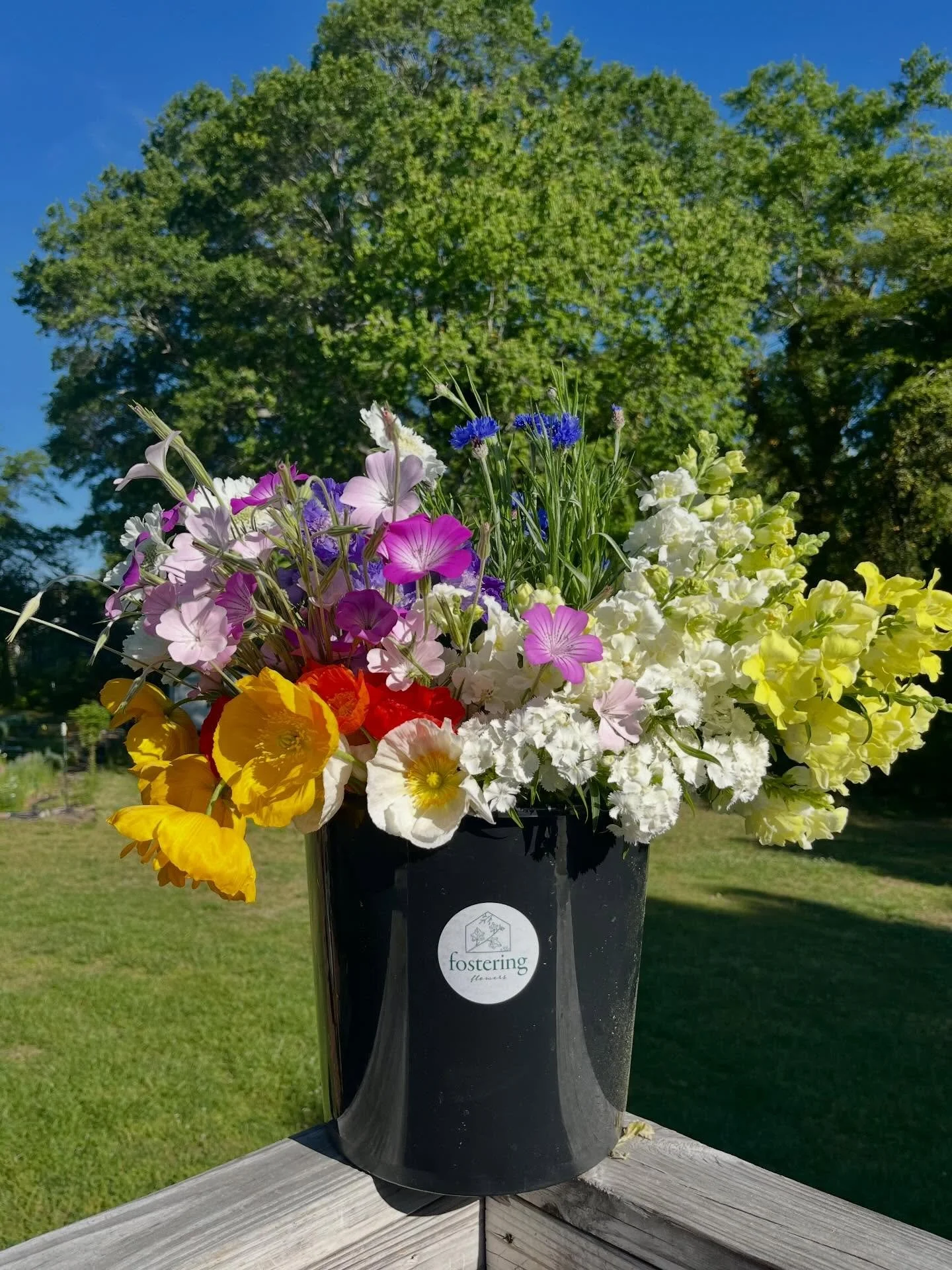 It&rsquo;s going to be hot today, but so is this deal for ya 💐

If you don&rsquo;t know.. it&rsquo;s going to be hot here in Shelby and I wanted to share some flowers with those who have a hard time getting out to me or Belvedere Station to get them