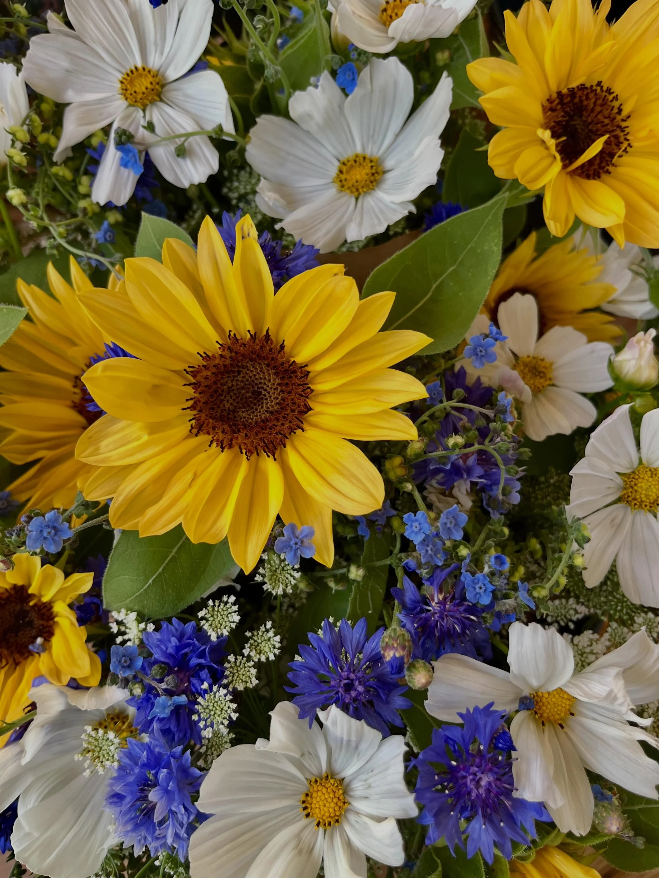 The cross between spring and summer flowers are 👏🏼👏🏼👏🏼

You can order directly from me or *now* online at www.fosteringflowers.com where you can guarantee the bouquet you need be at the time most convenient for you! 💃🏻