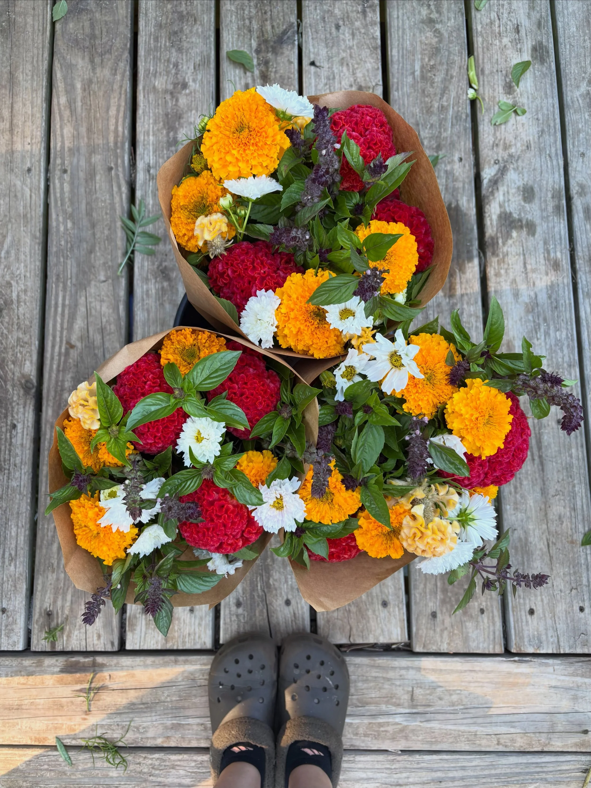 Flowers and my house crocs 🙃

It&rsquo;s the shoes you&rsquo;ll accidentally see in most of my flower pictures (yes I have two pairs)! This time I just went with it&hellip; taking pictures of one of my subscription flower buckets every week to make 