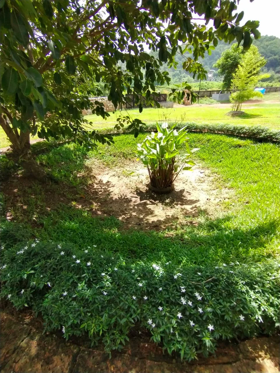Bomb Crater