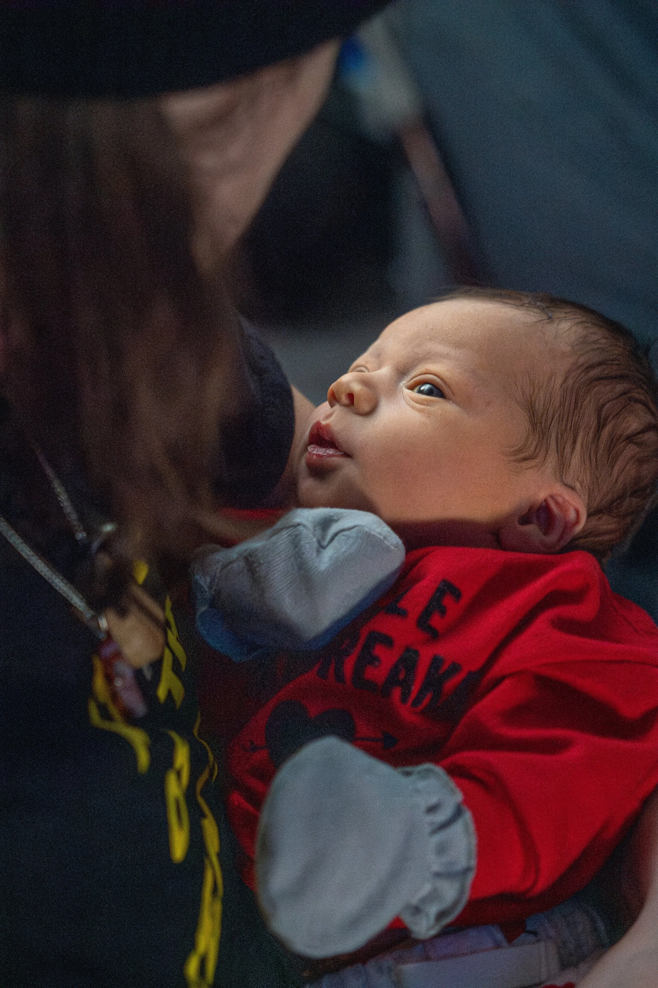 DSC08495-Enhanced-NR (XL Photo).jpg