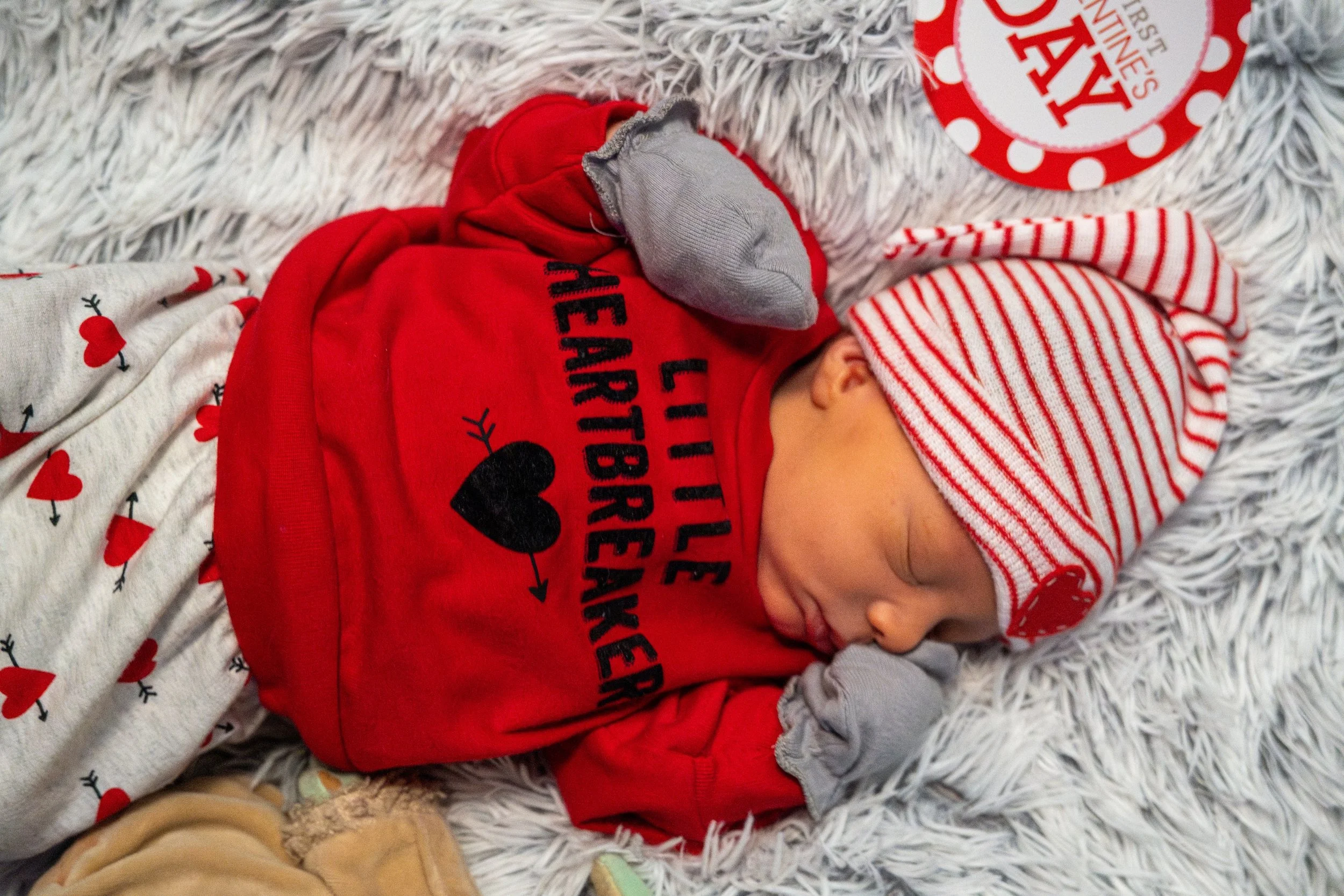 DSC09022-Enhanced-NR-2 (XL Photo).jpg