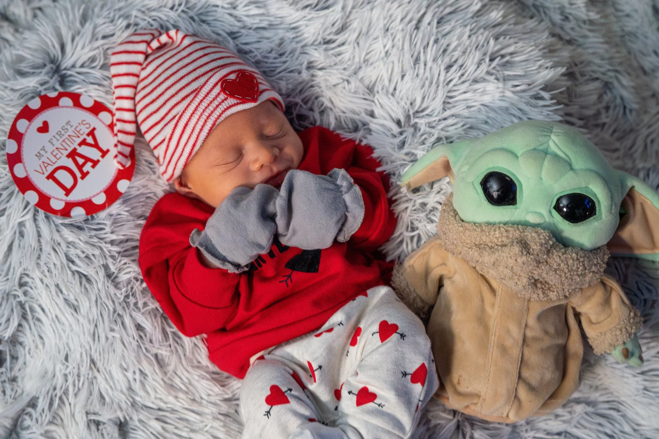 DSC08855-Enhanced-NR-2 (XL Photo).jpg