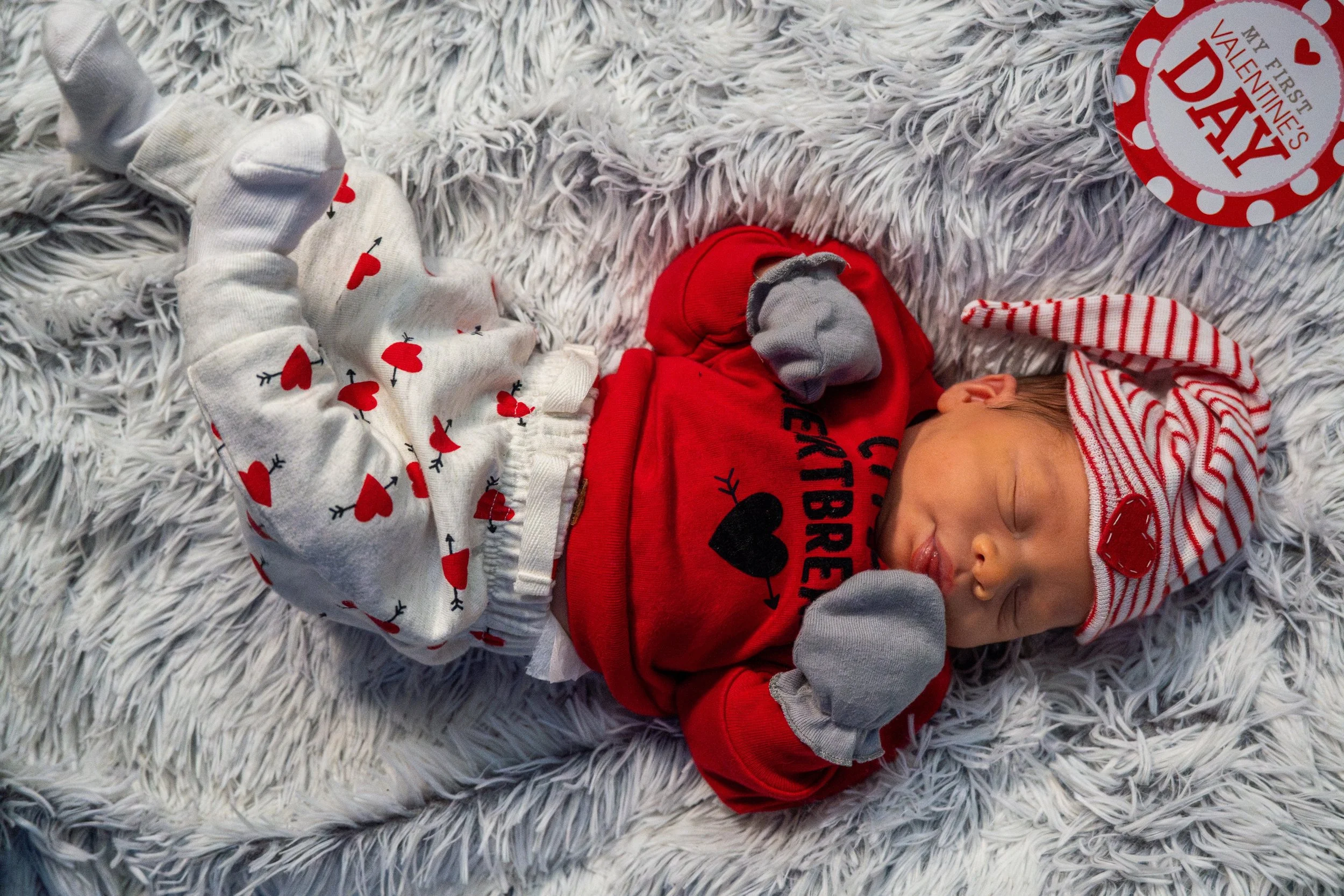 DSC09310-Enhanced-NR (XL Photo).jpg