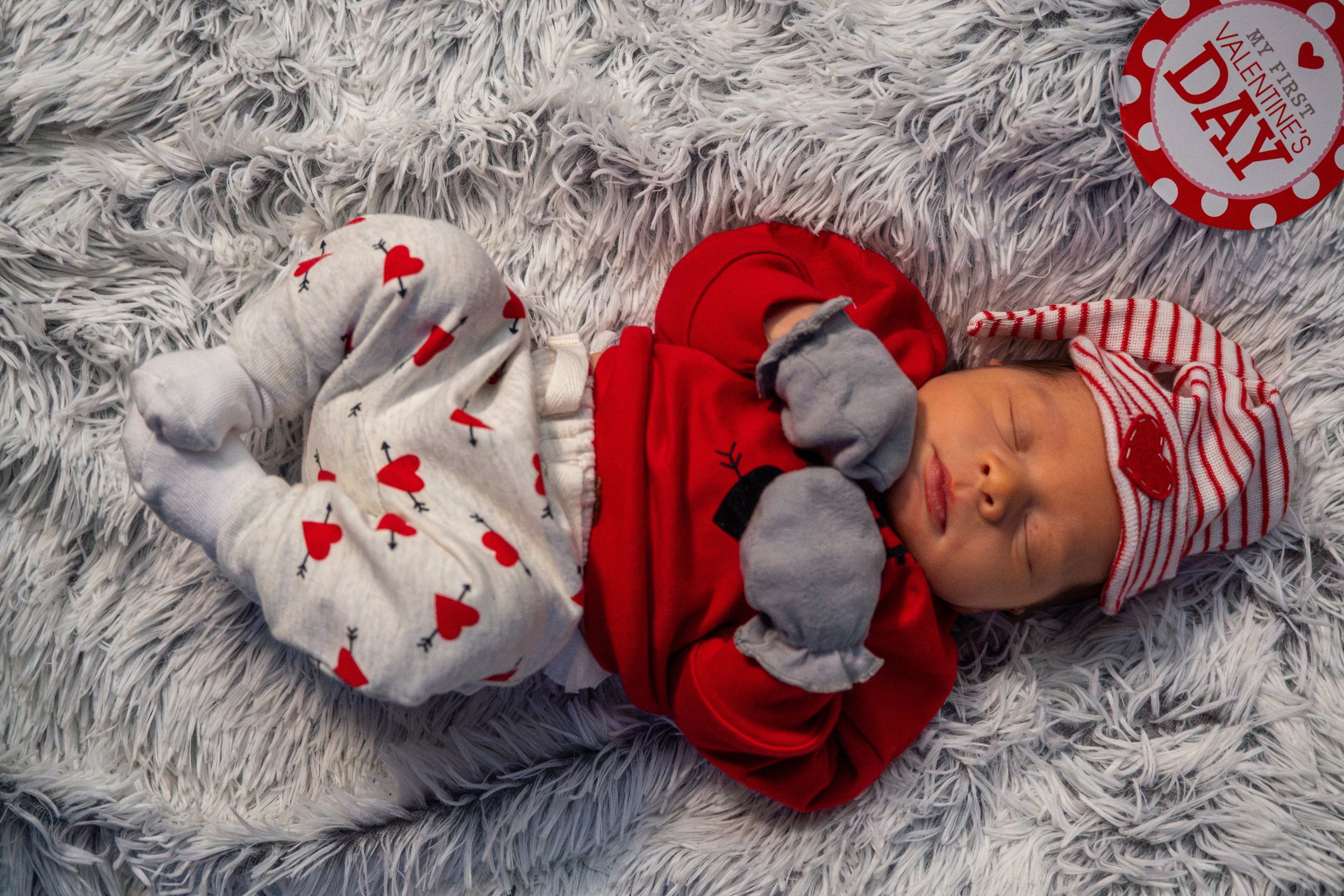 DSC09337-Enhanced-NR (XL Photo).jpg