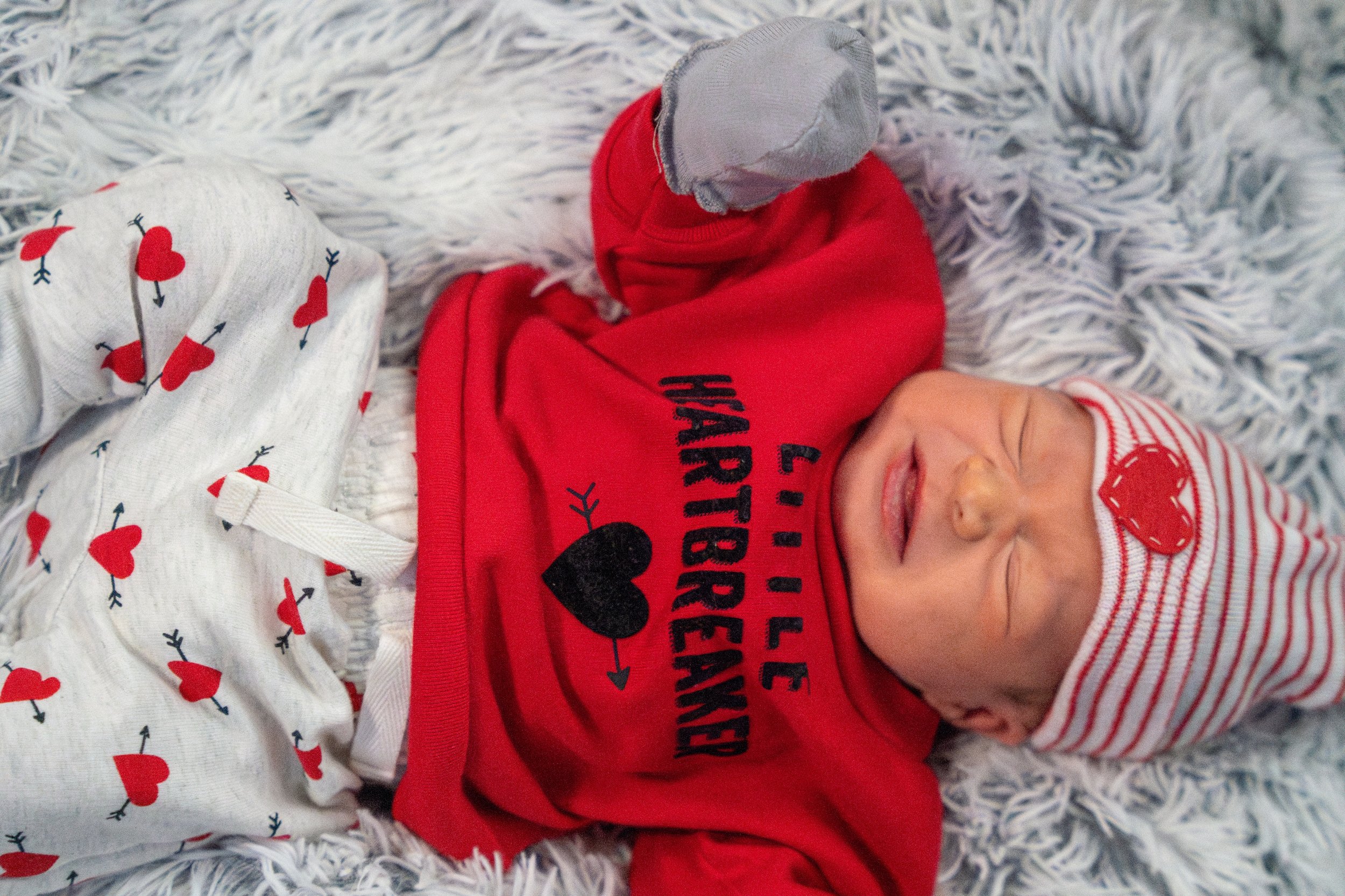 DSC08393-Enhanced-NR (XL Photo).jpg