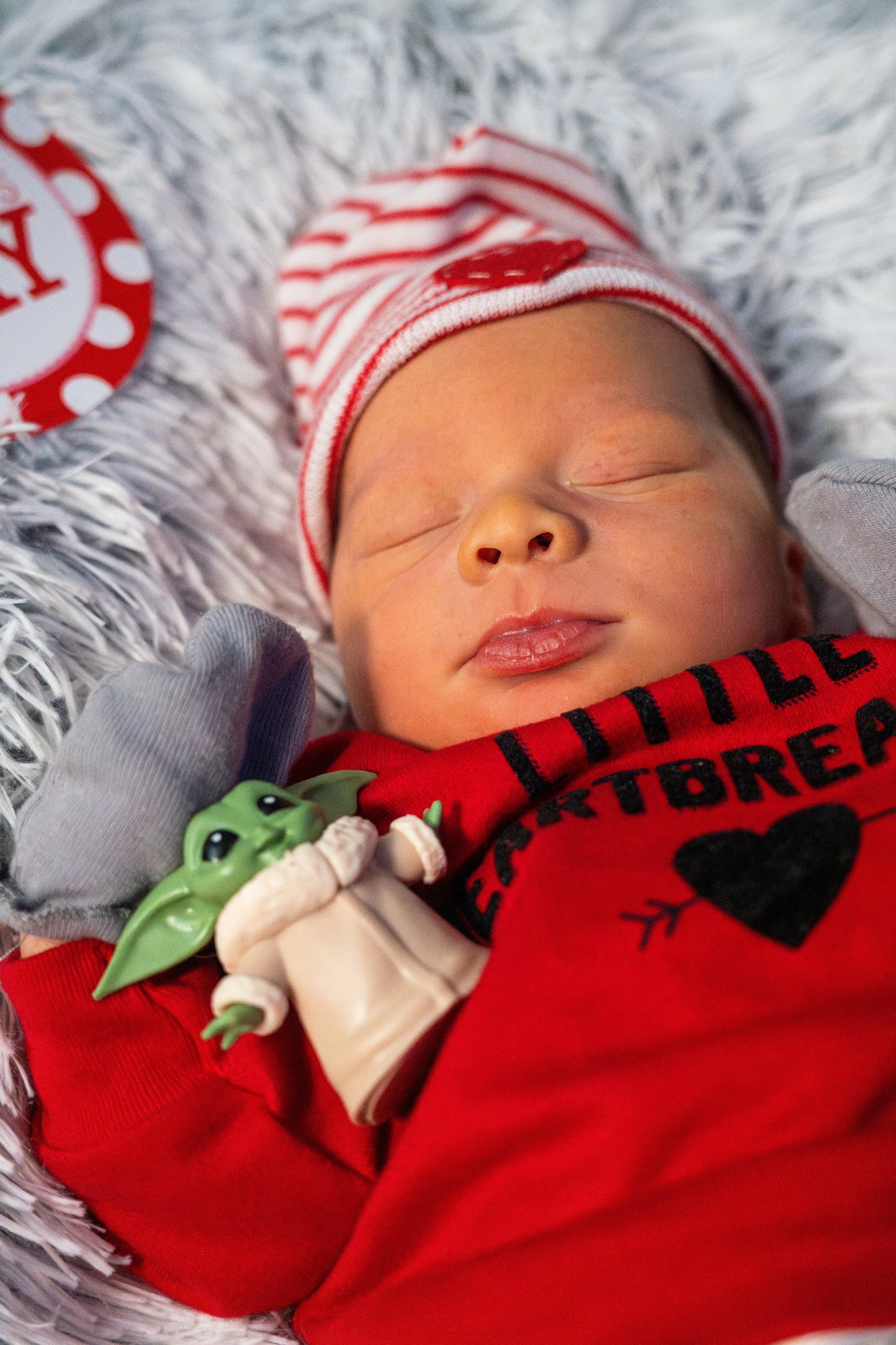 DSC09106-Enhanced-NR (XL Photo).jpg