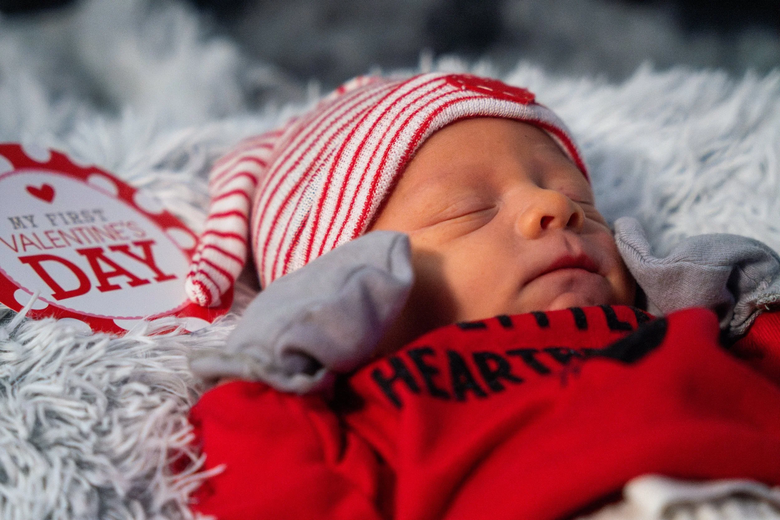 DSC08913-Enhanced-NR (XL Photo).jpg