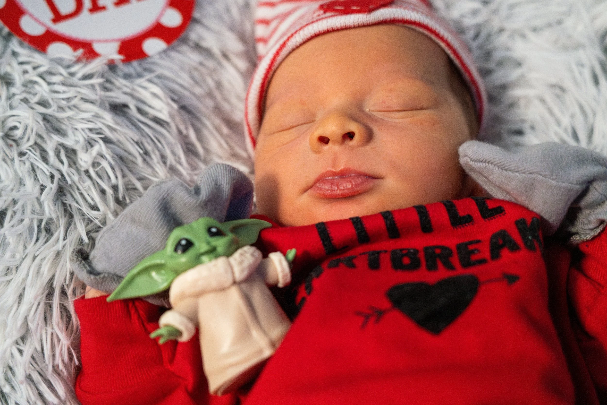 DSC09096-Enhanced-NR (XL Photo).jpg