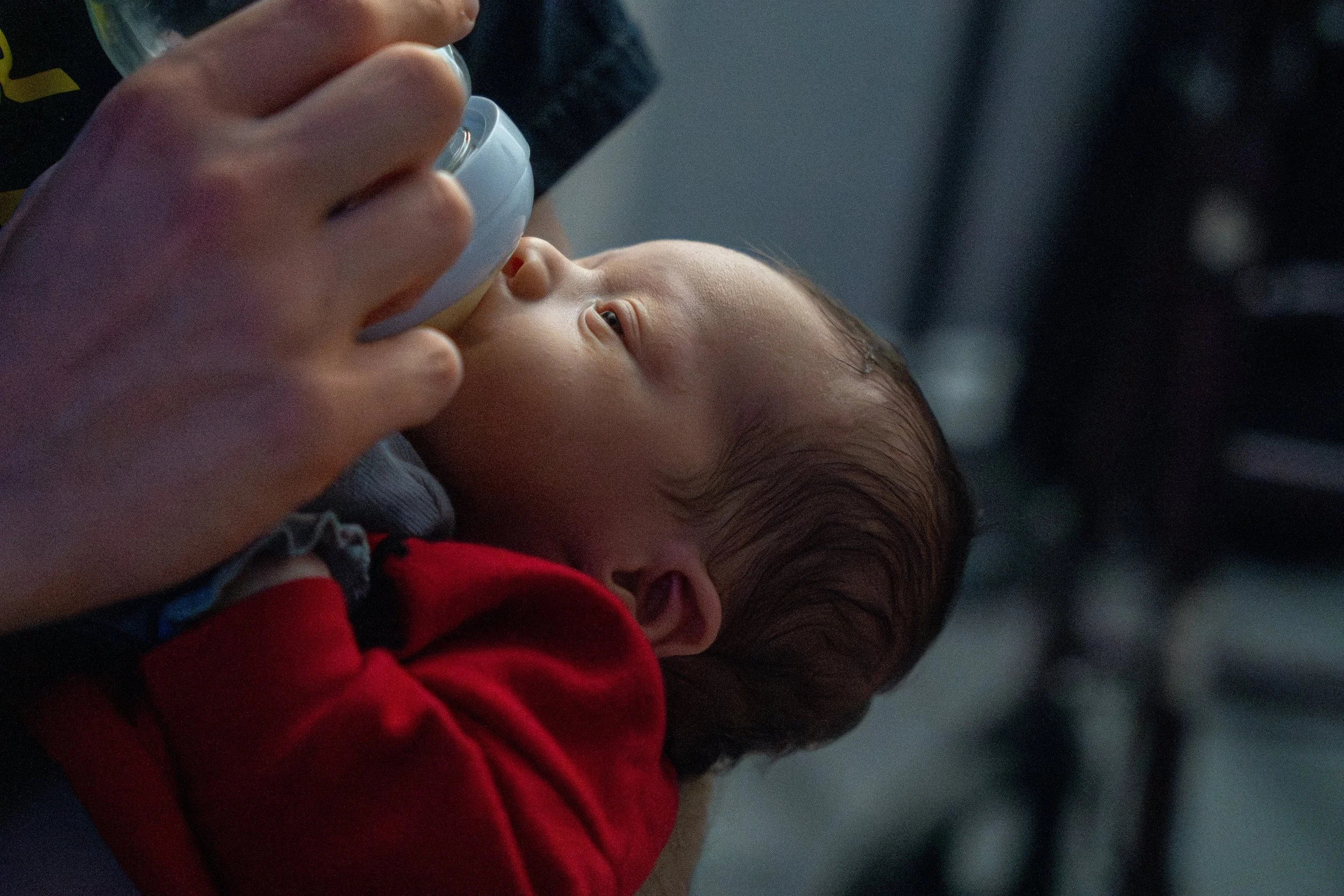 DSC08600-Enhanced-NR (XL Photo).jpg