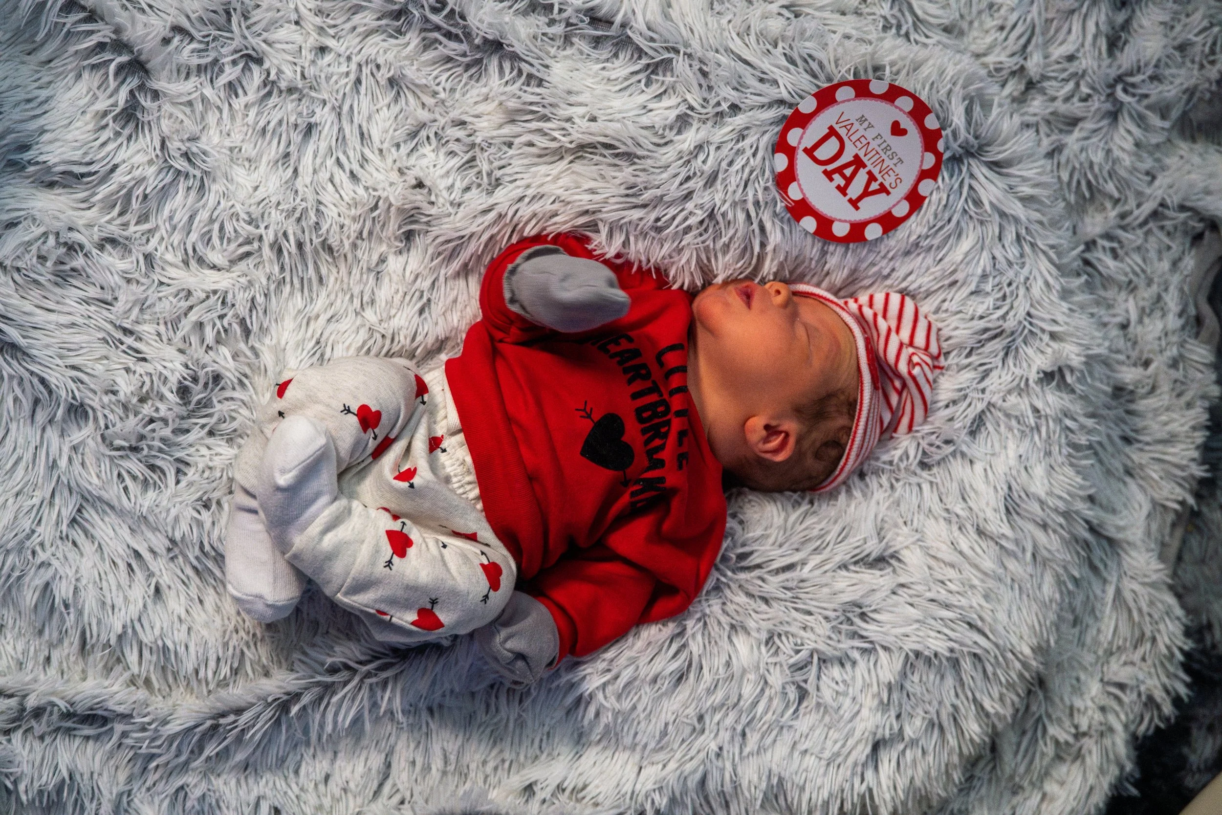 DSC09136-Enhanced-NR (XL Photo).jpg