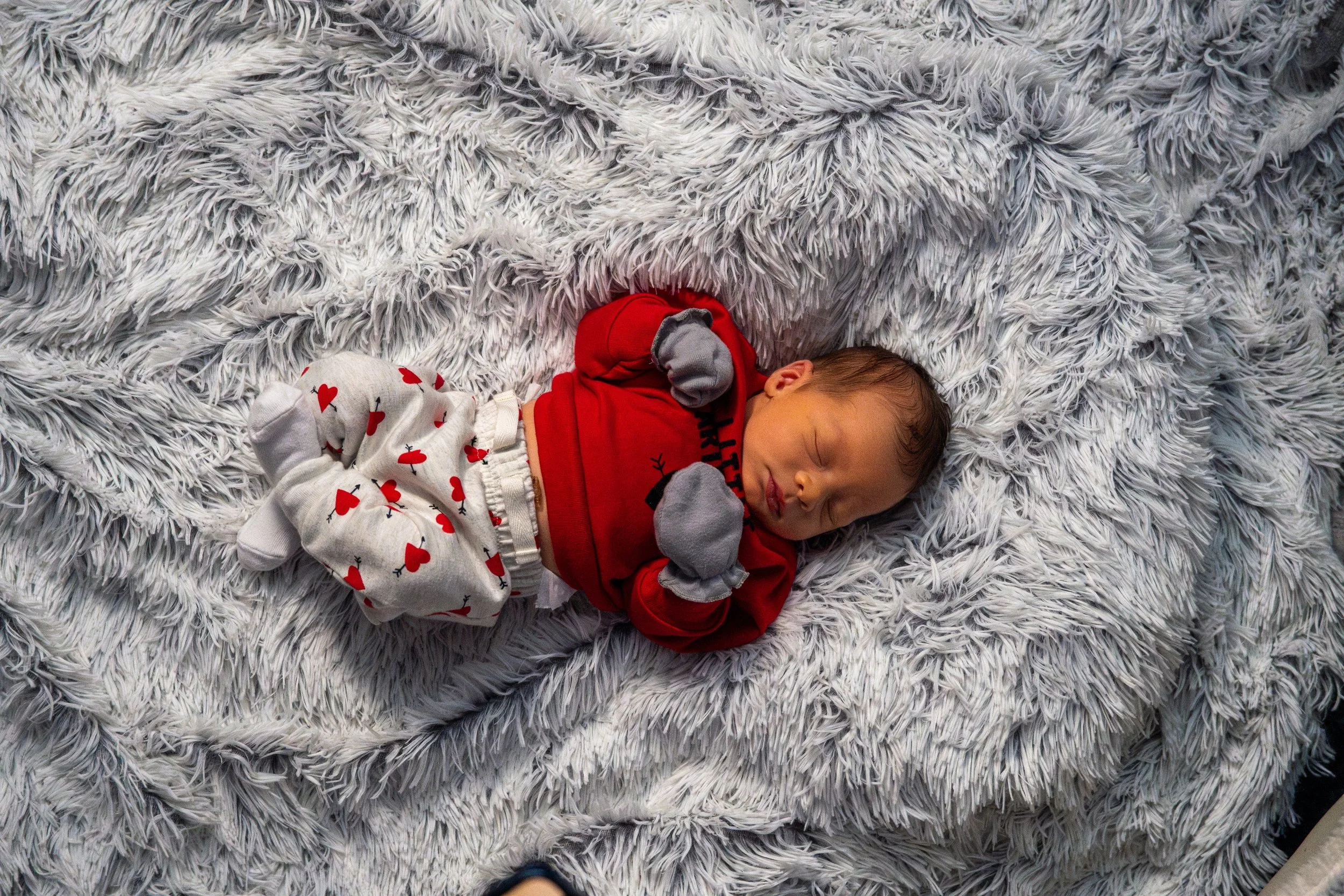 DSC09405-Enhanced-NR (XL Photo).jpg