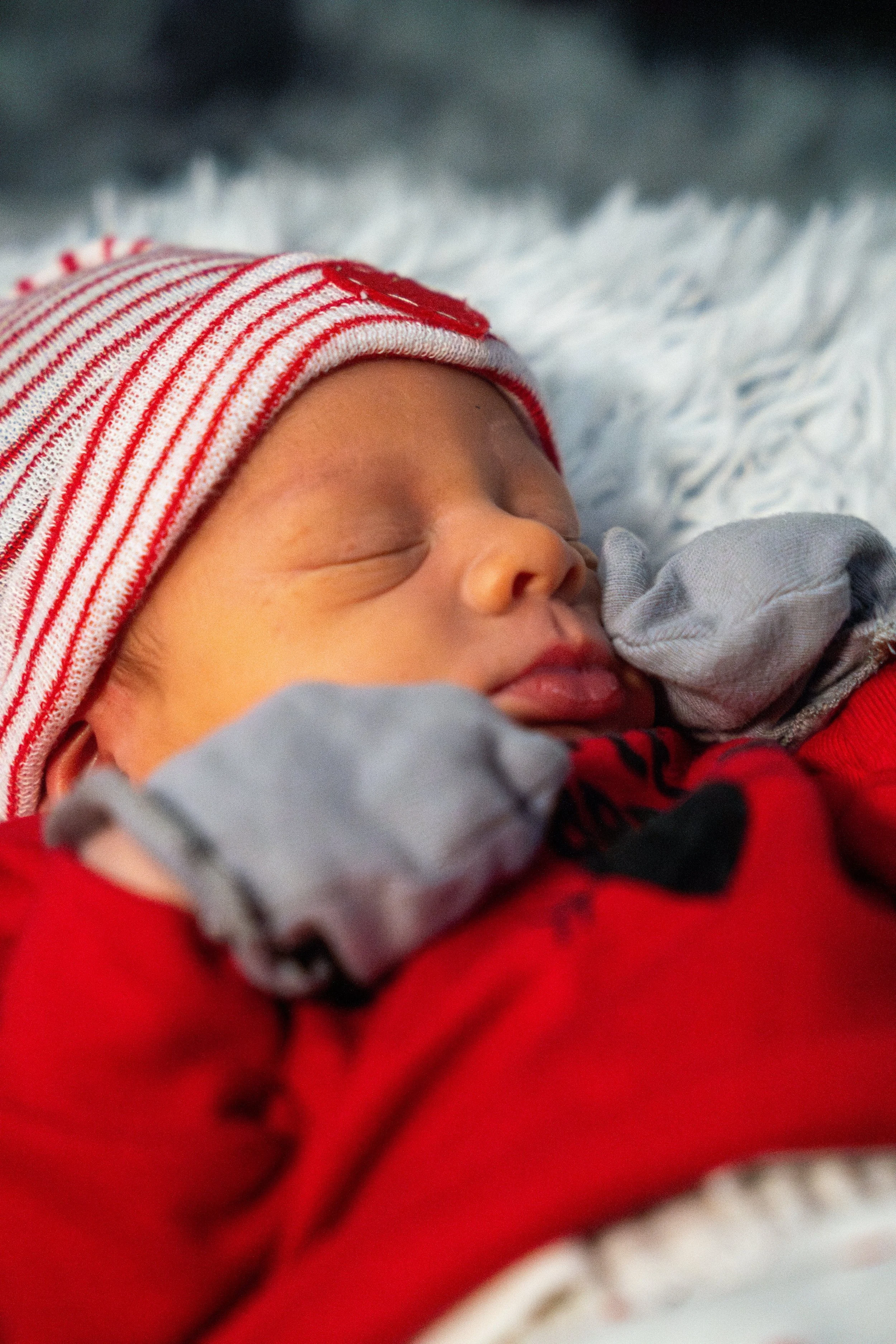 DSC08872-Enhanced-NR-2 (XL Photo).jpg