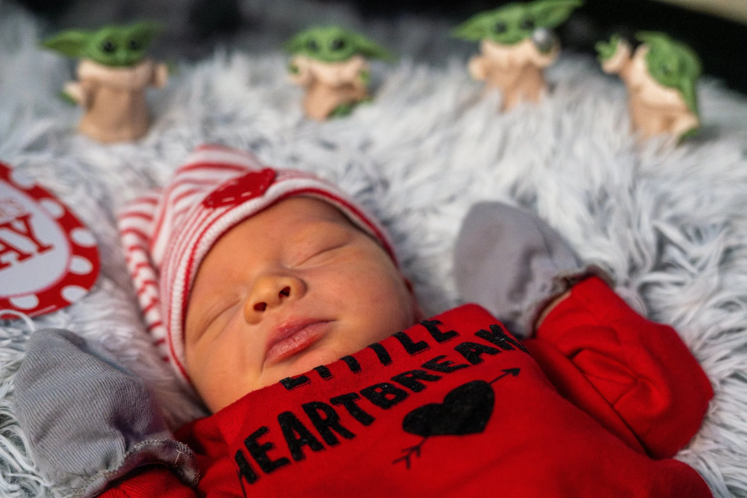 DSC09046-Enhanced-NR (XL Photo).jpg