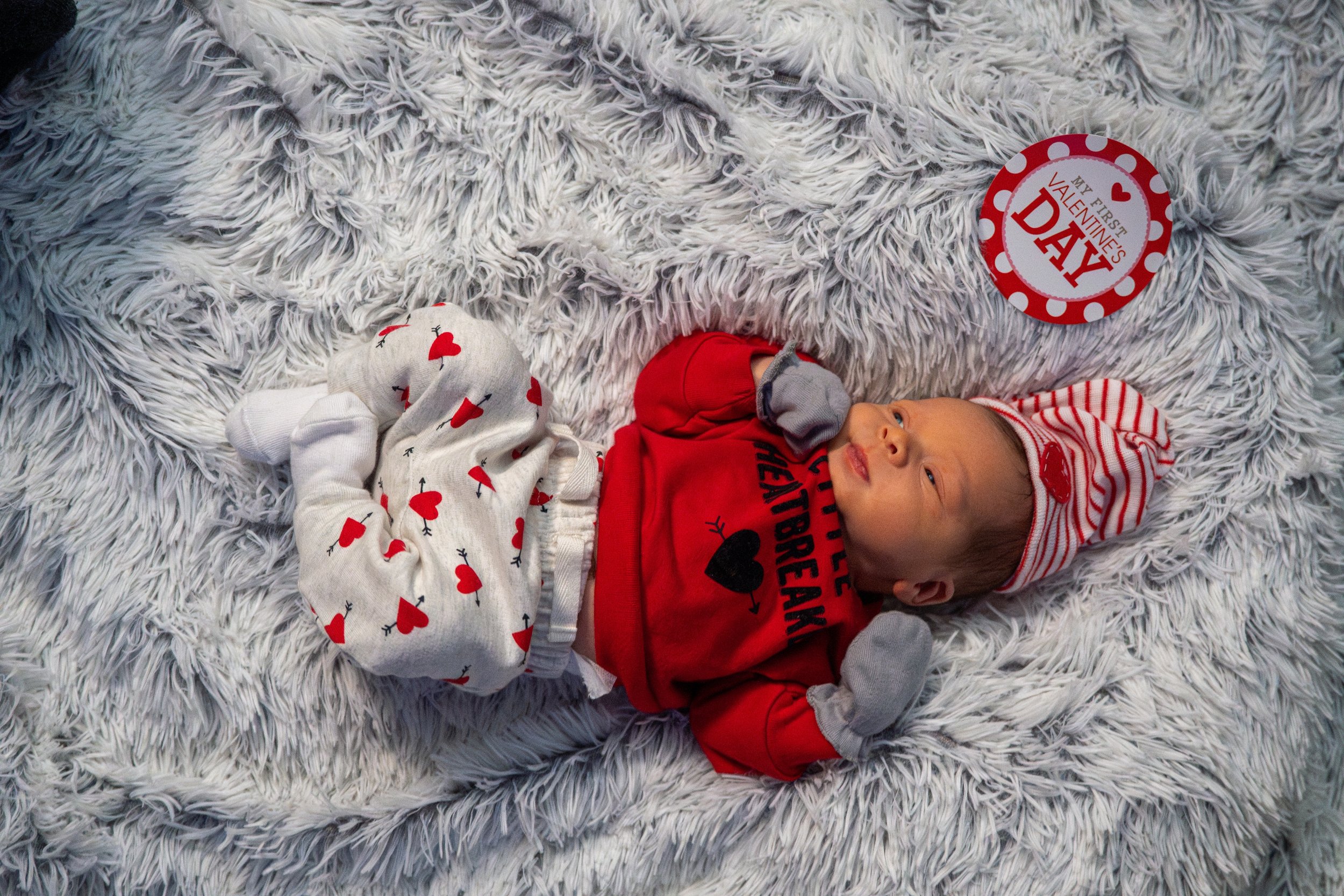 DSC09215-Enhanced-NR (XL Photo).jpg