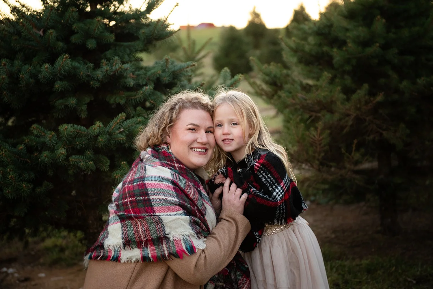 Tree Farm 2024-2341.jpg