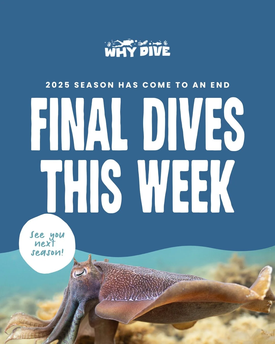 3 Weeks. That&rsquo;s It. 🐙 This is your sign. Suit up. Dive in. Witness the magic before it&rsquo;s gone.

🗓️ Season ends mid-late August
📍 Whyalla, SA
🎟️ Book now &mdash; link in bio