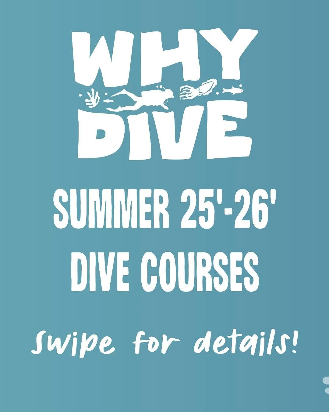 Summer is just around the corner, and the water is just fine! Who&rsquo;s ready to learn how to scuba dive?
.
.
.
.
#padi #scubadiving #openwater #siver #course #eyrepeninsula #whyalla #southaustralia