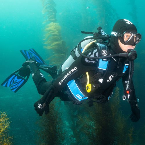 SP_C022_S270_Balanced_Octopus_Img1.jpg