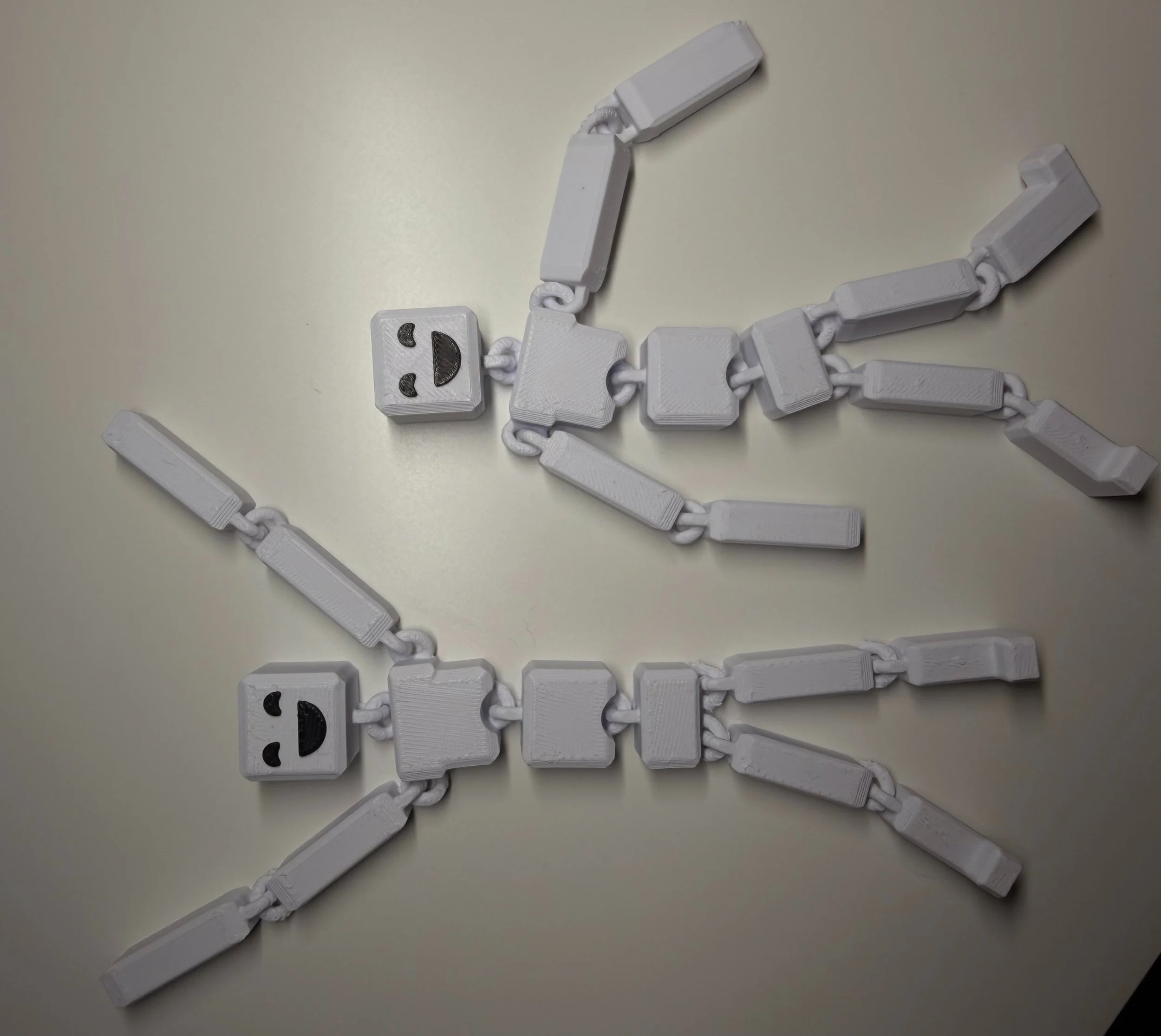 Flexi Skeletons.jpeg