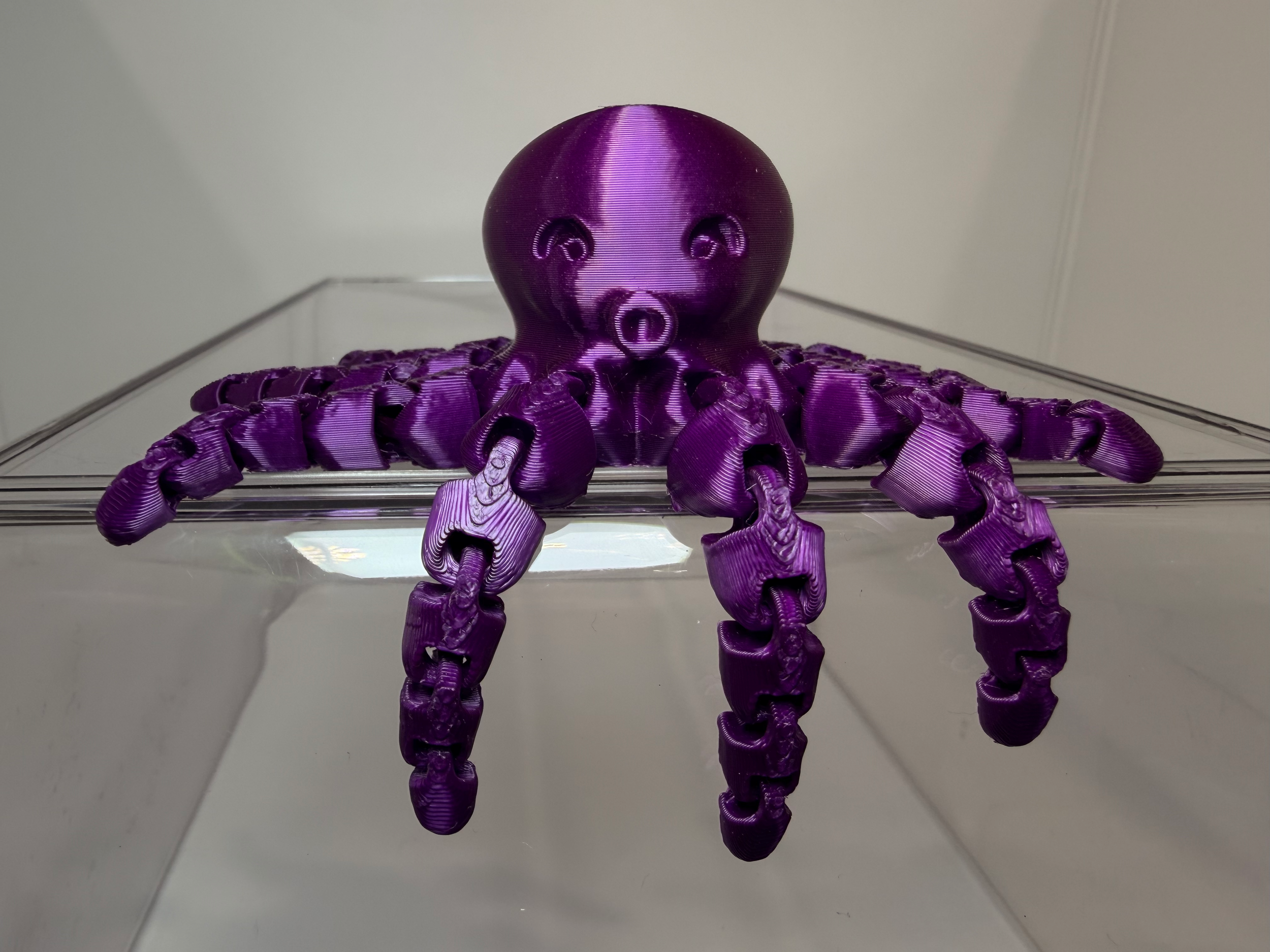 Octopus