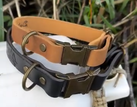 Best Friend Dog Collar