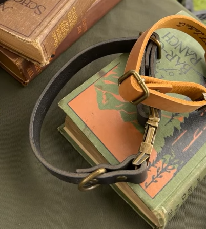 dog collar.png