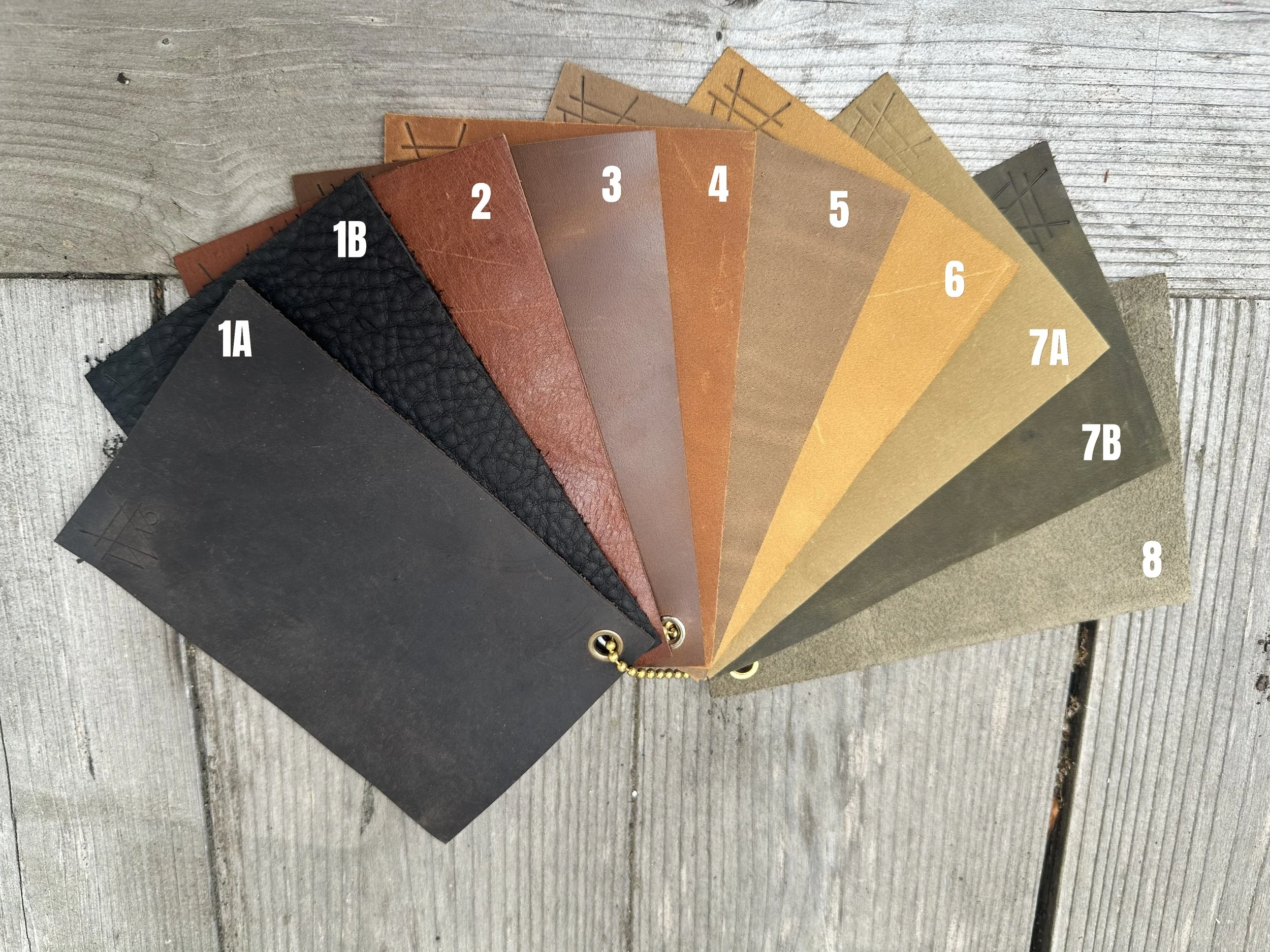 All Colors - numbered.JPG