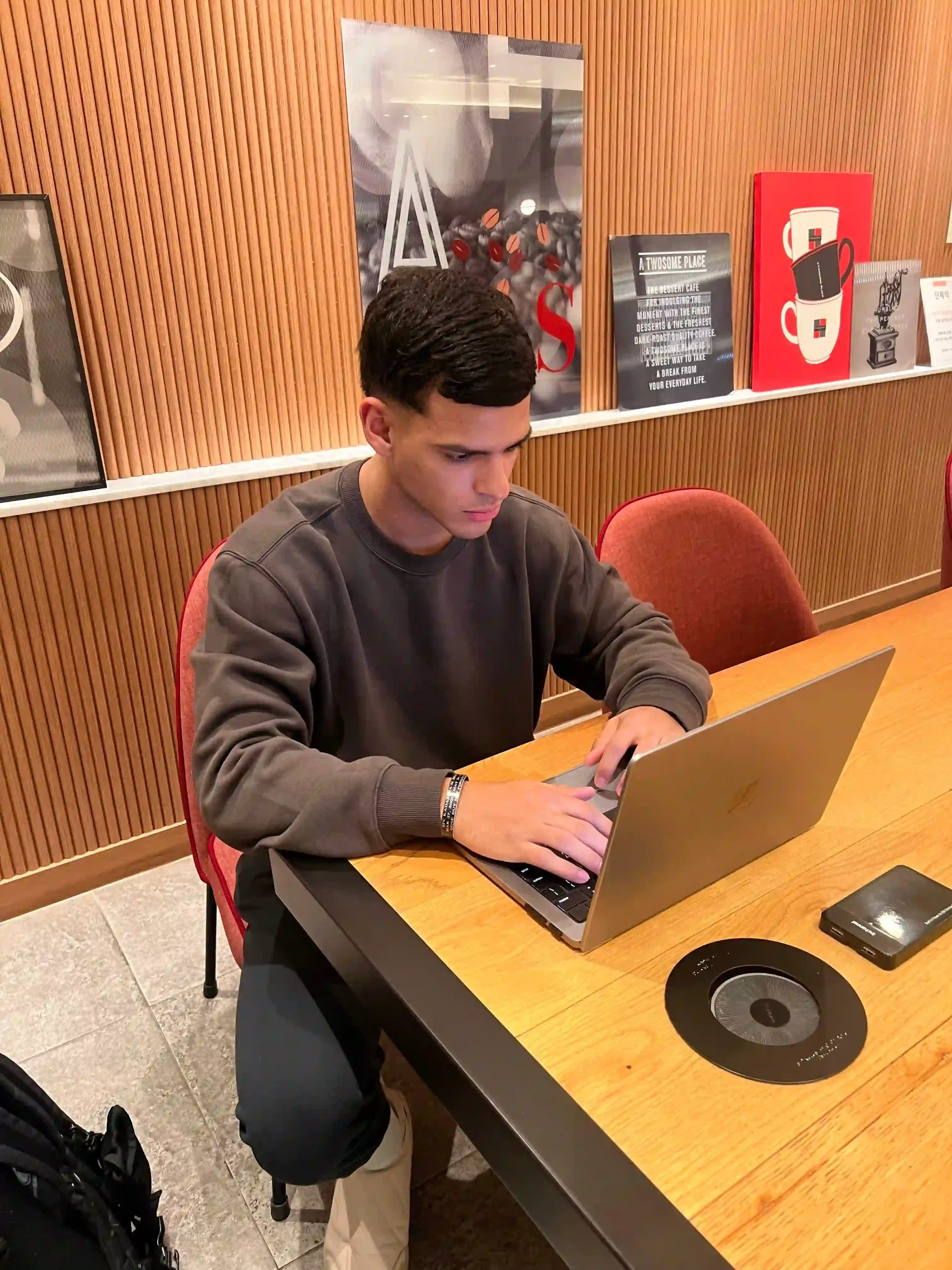 Web Designer of Di Vega, Luis Vega.