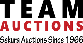 Team Auctions 