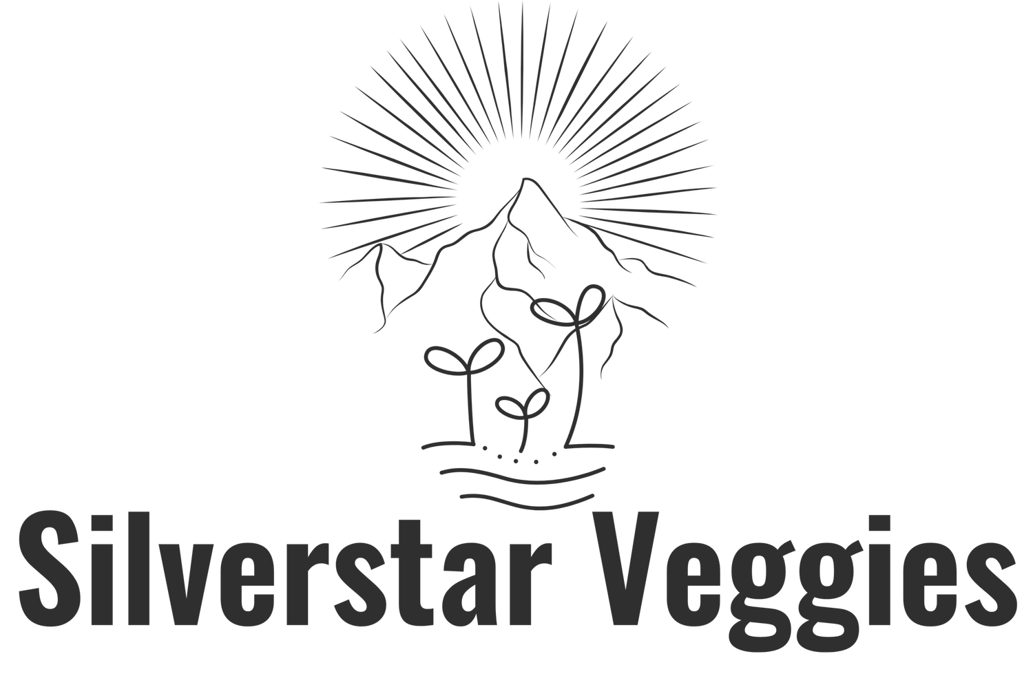 A black and white logo for Silverstar Veggies featuring a mountain with roots, sprouting plants, and radiating lines representing the sun, with the text 'Silverstar Veggies' at the bottom.