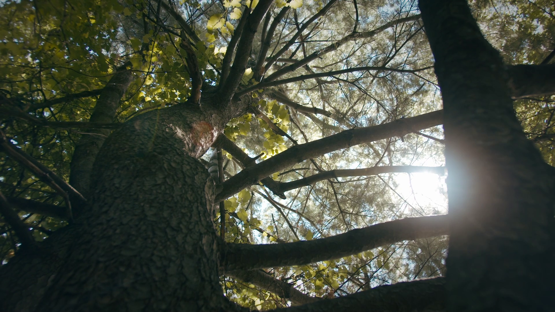 vlcsnap-2025-02-01-22h40m57s814.png