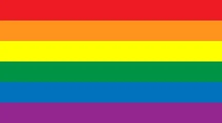 LGBTQIA+ queer pride flag