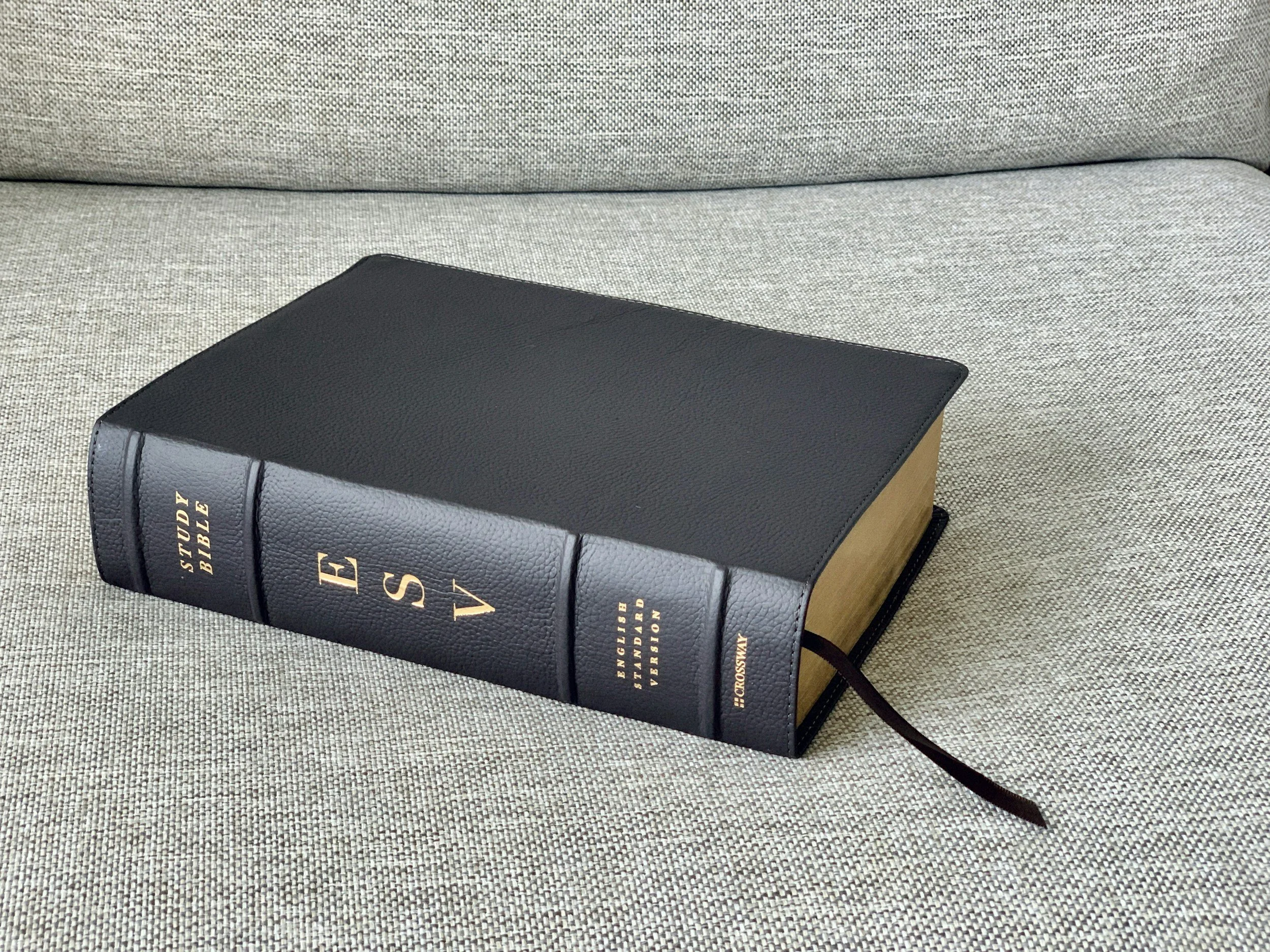 A black leather-bound Bible with gold lettering on the spine resting on a gray textured fabric surface.
