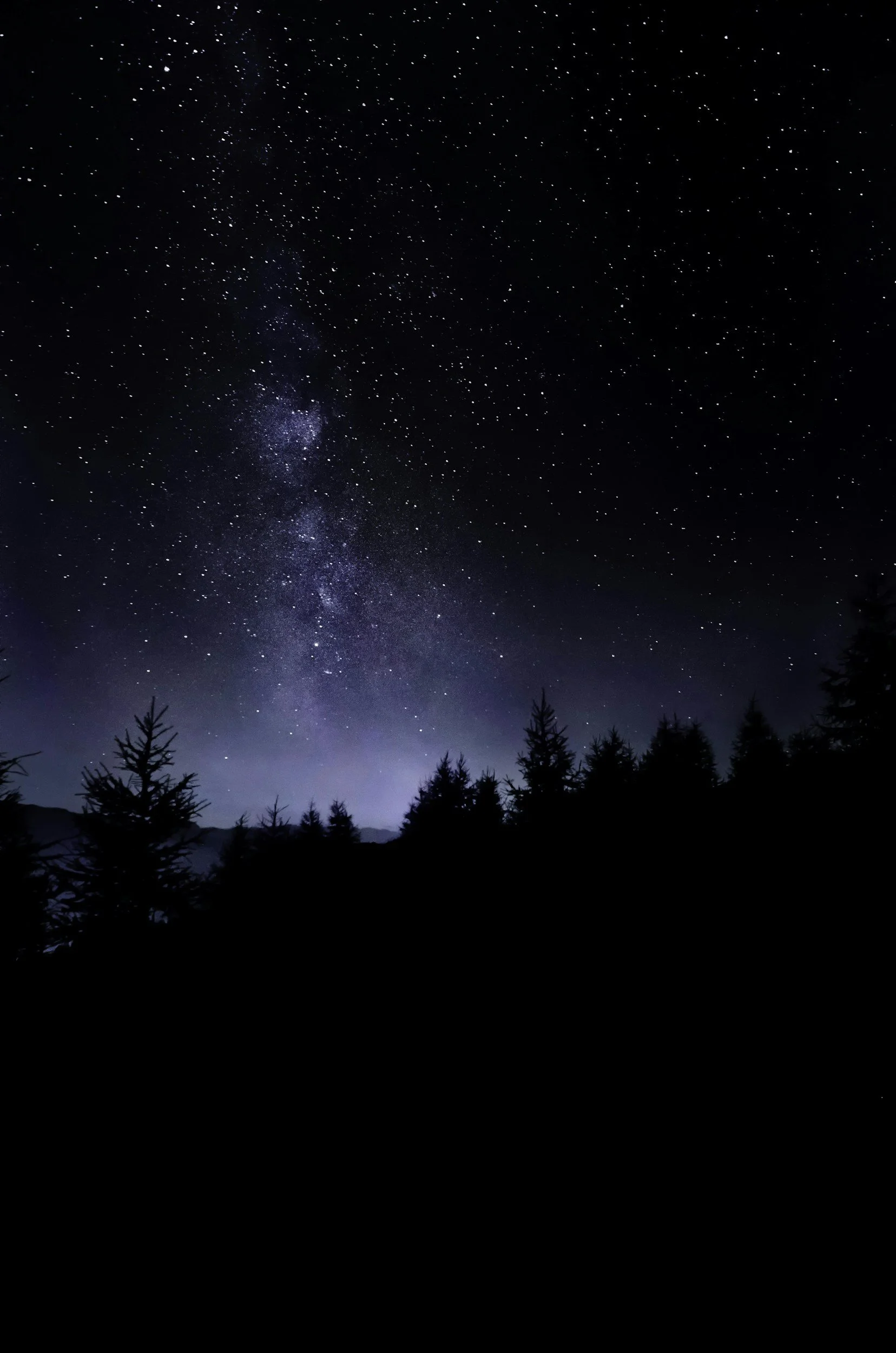 Night sky filled with stars, the Milky Way galaxy visible over a silhouette of trees and mountains.