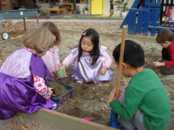 Learning to Work Together