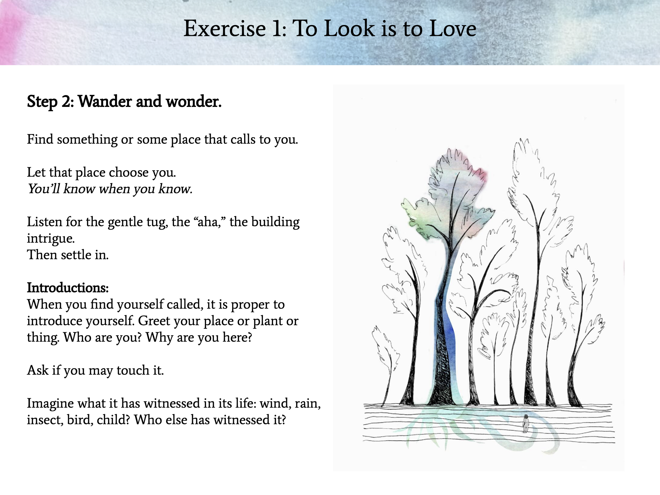 Offering - Rewilding 3.png