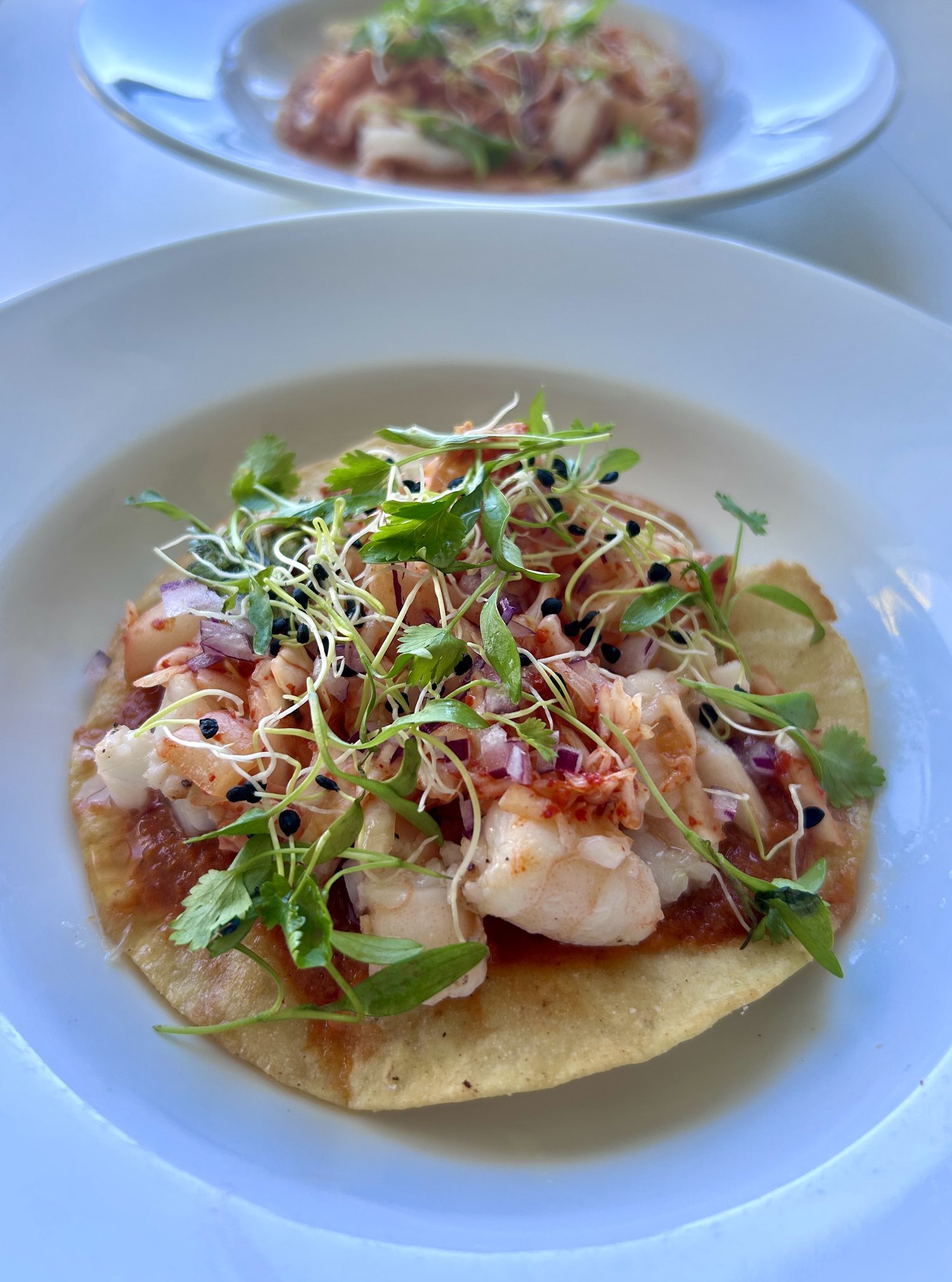 Shrimp Ceviche.jpeg
