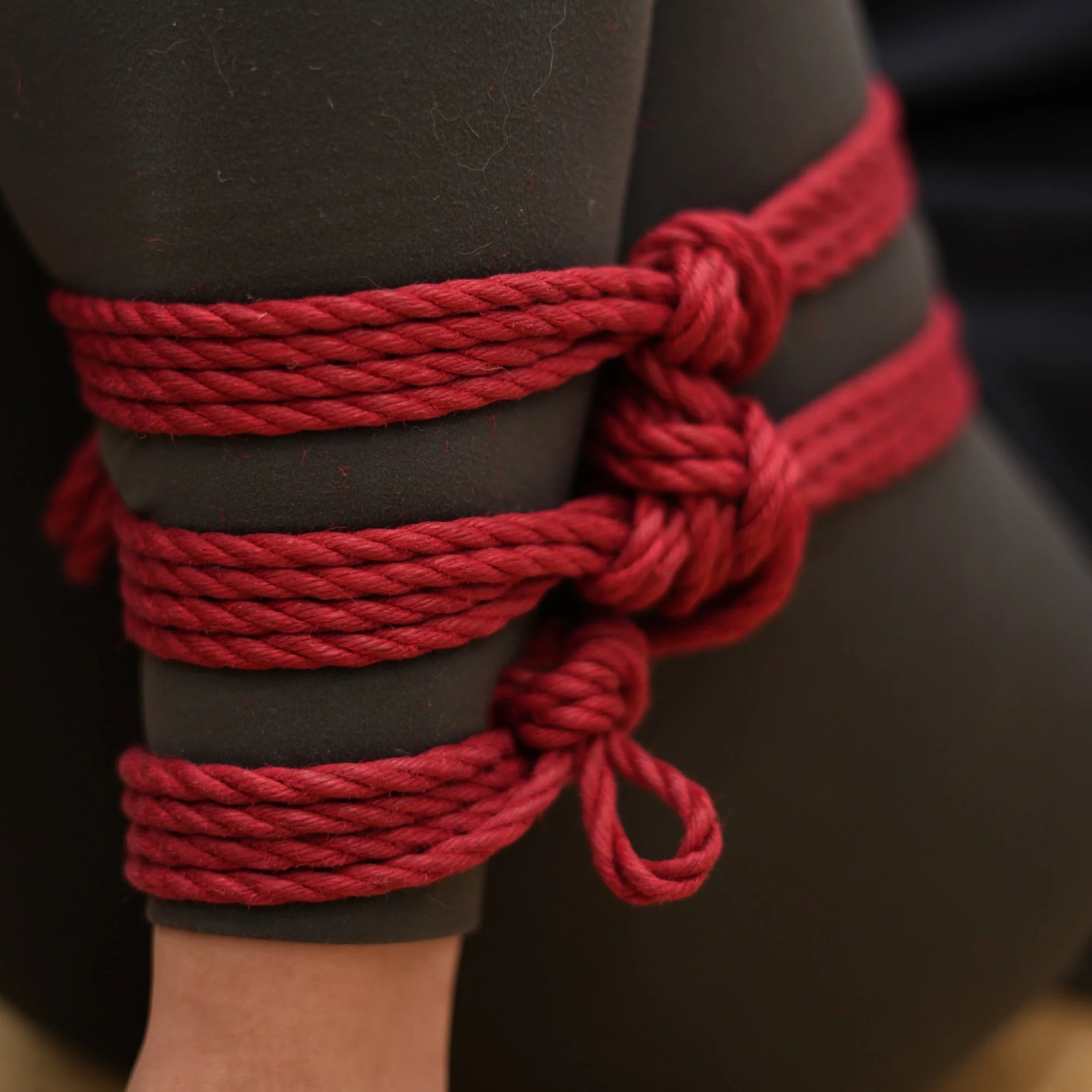 Kinoko-Style Workshop: Suspension Fundimentals