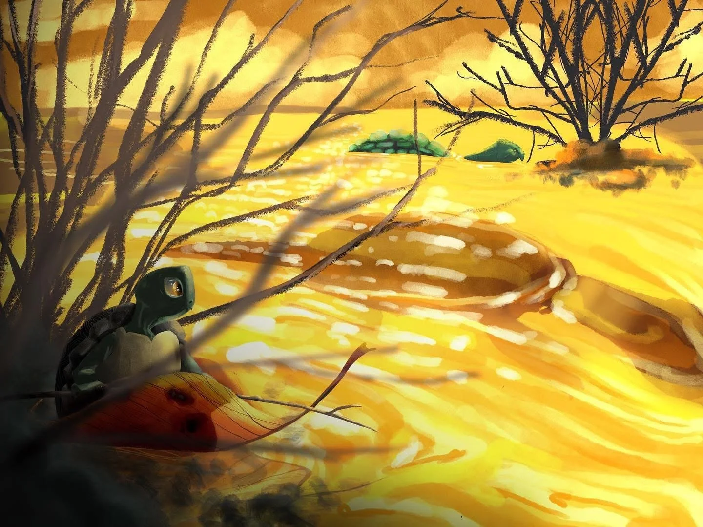 Little Turtle Finding His Way