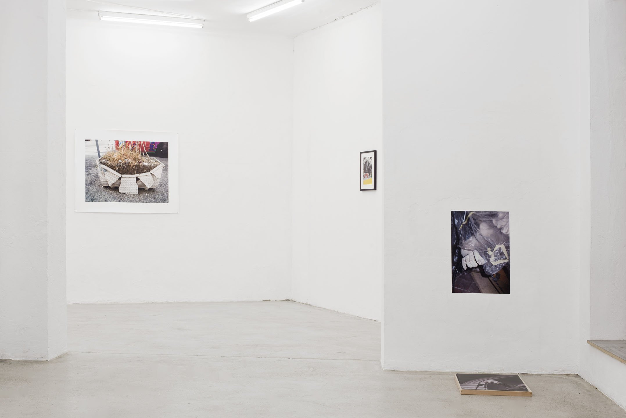 2020 Things are getting better
all the time / ©Ortloff/Sophia Kesting